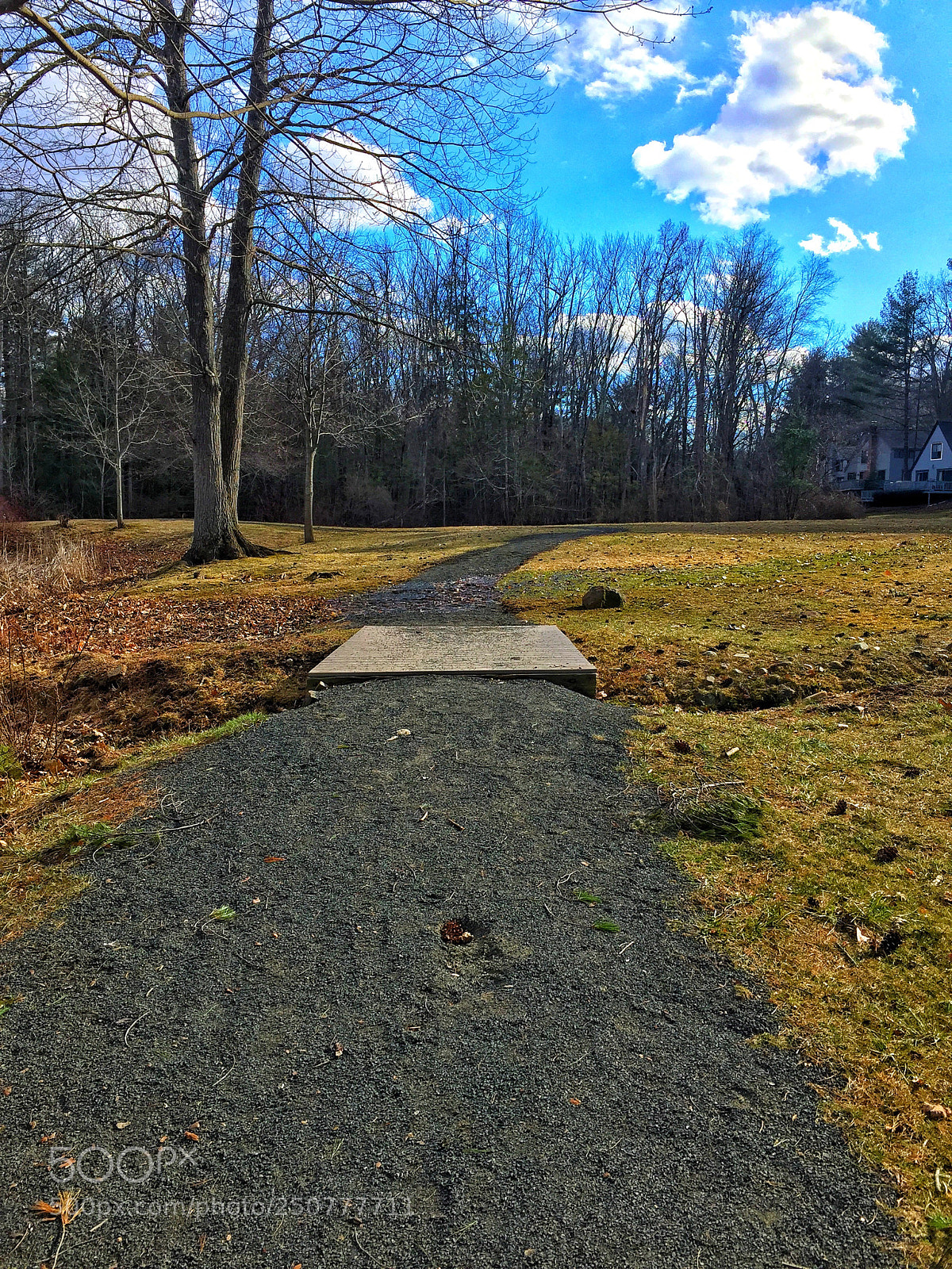 Apple iPhone 6 Plus sample photo. The path of nature photography