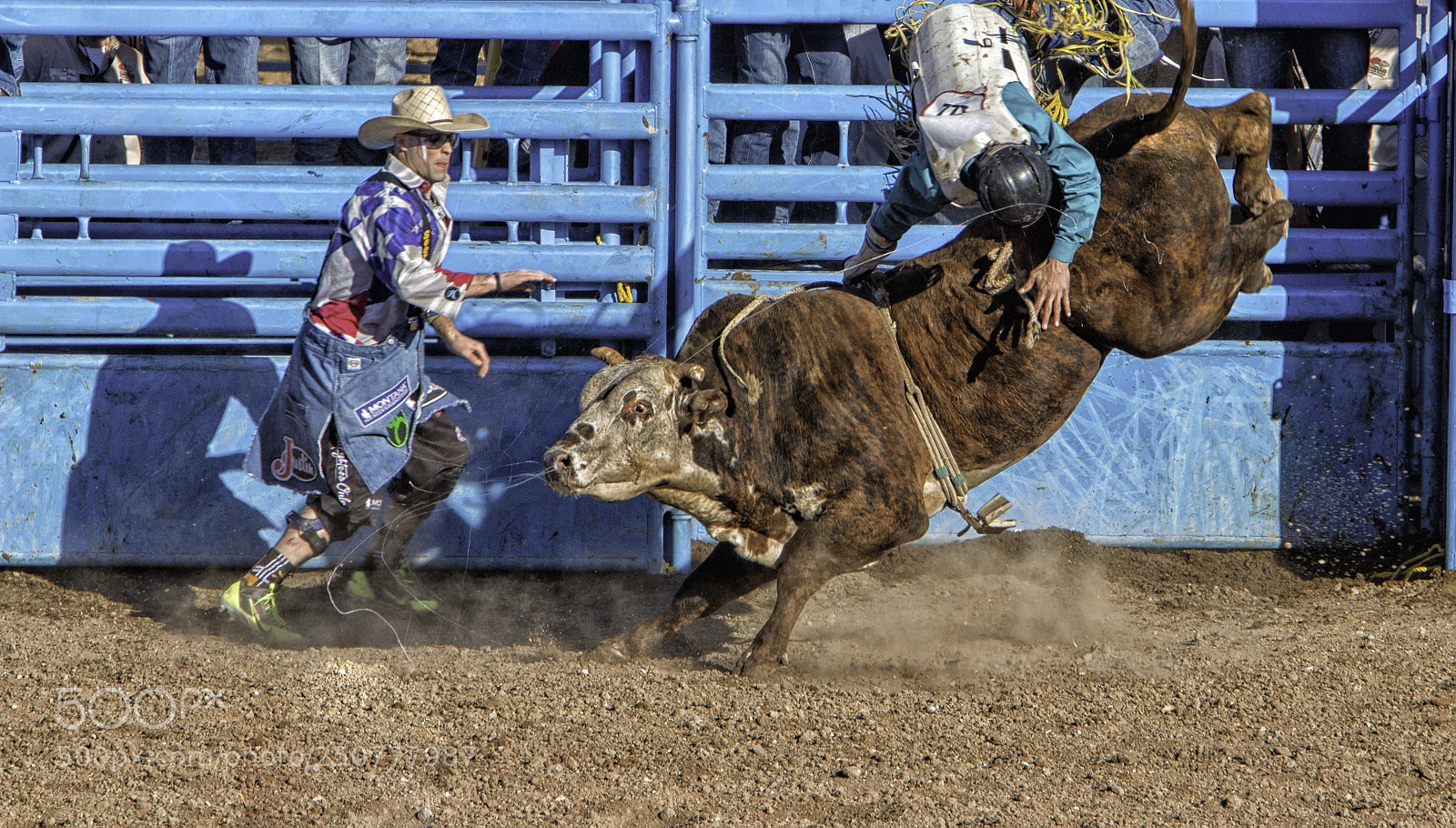 Canon EOS 70D sample photo. Flying bull rider photography
