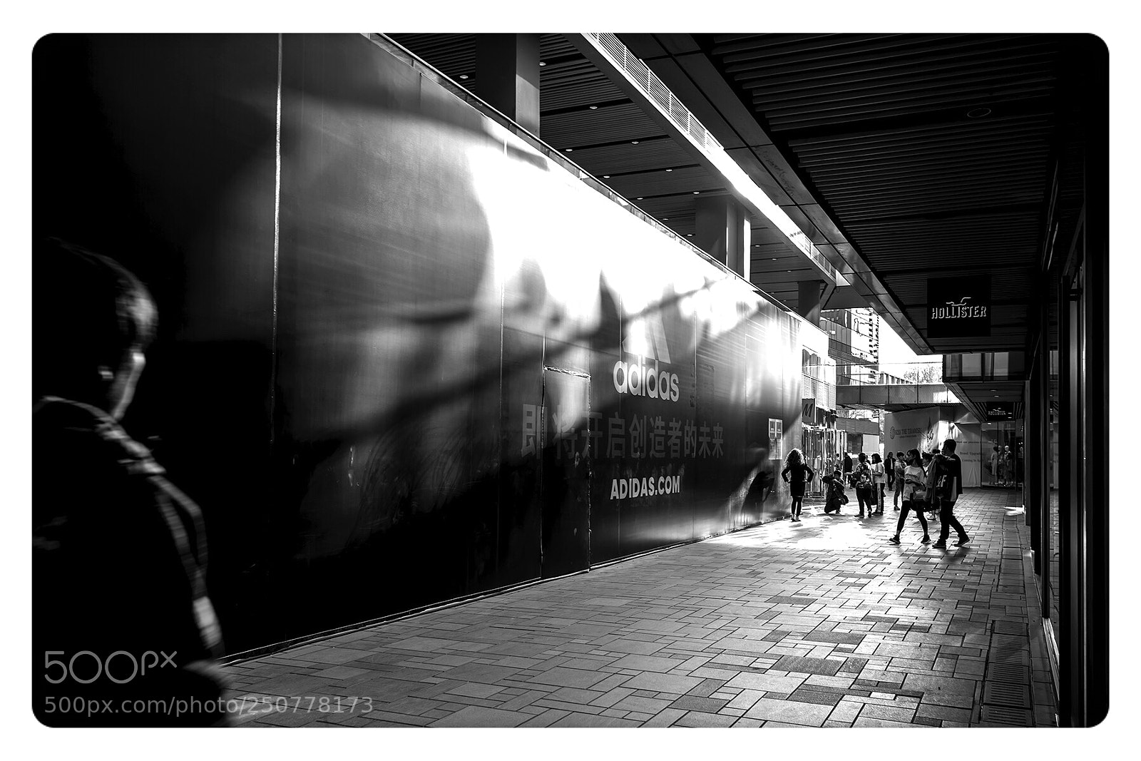Leica M (Typ 240) sample photo. Untitled photography