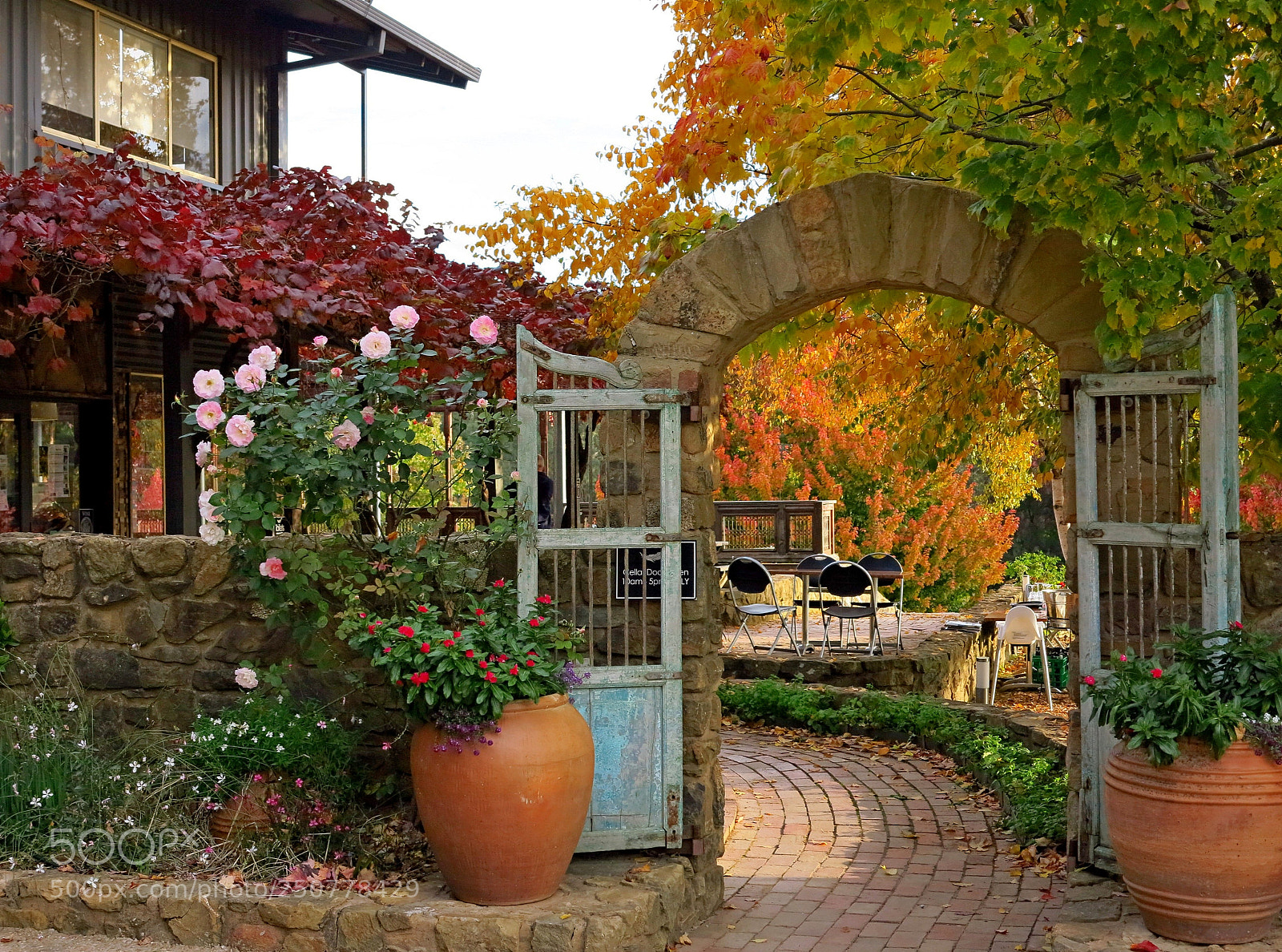 Canon PowerShot G1 X sample photo. Autumn in bright, vic photography