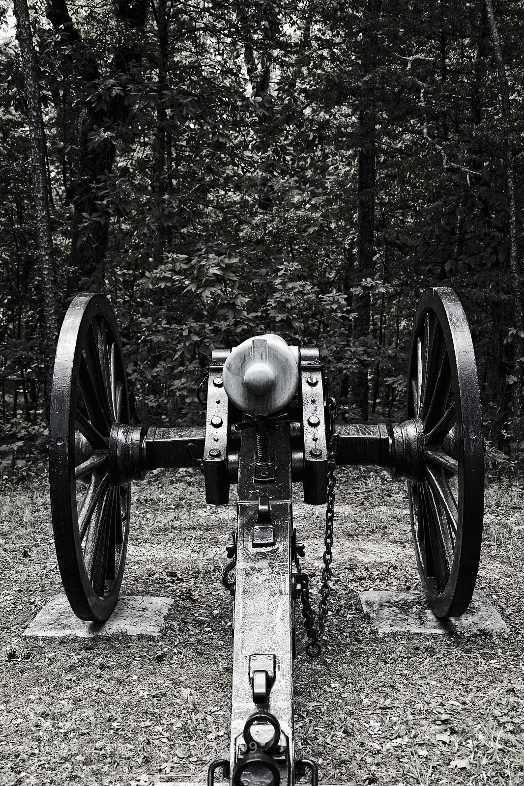 Fujifilm X-E1 sample photo. The cannon in the photography
