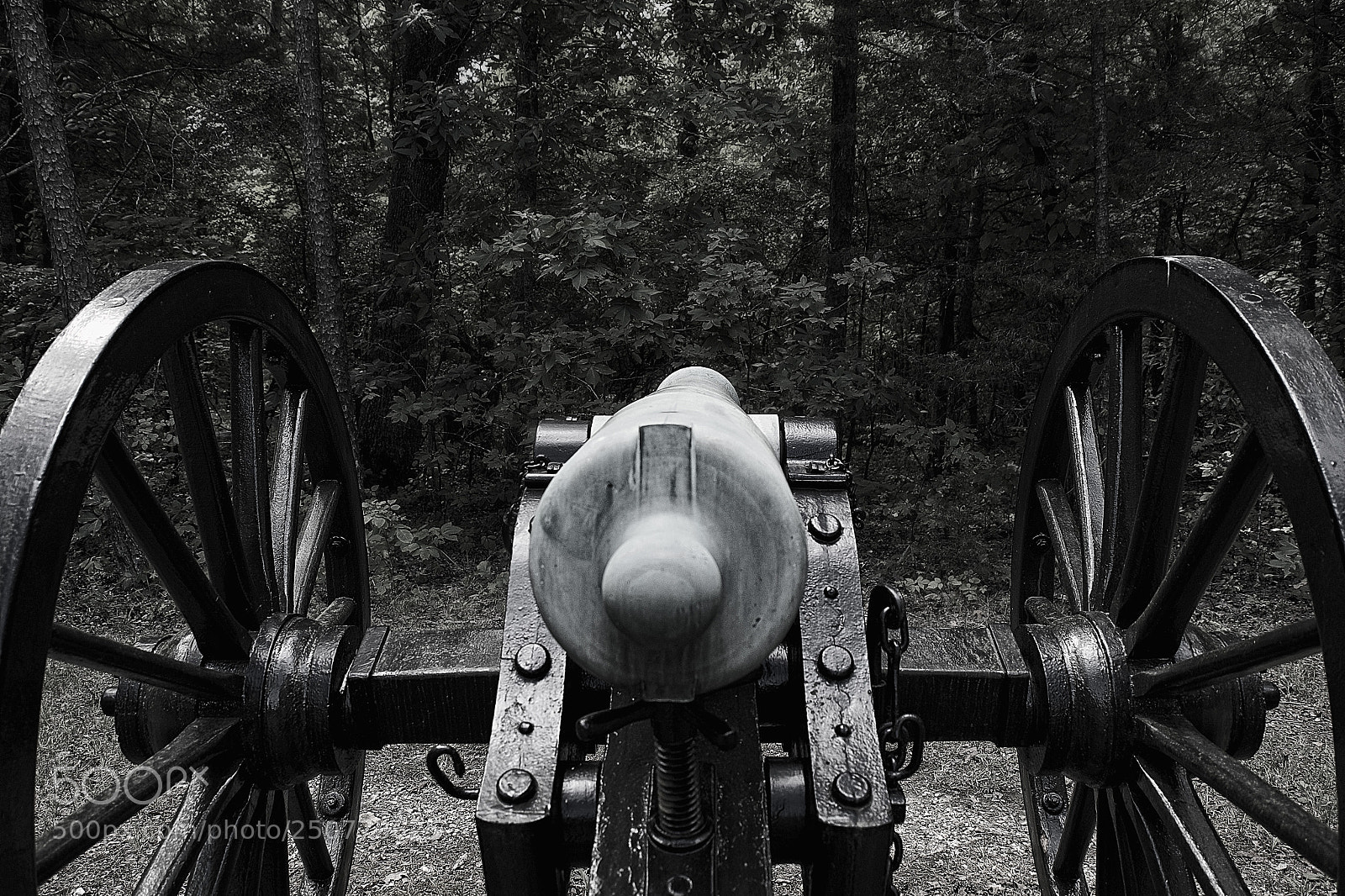 Fujifilm X-E1 sample photo. The cannon in the photography