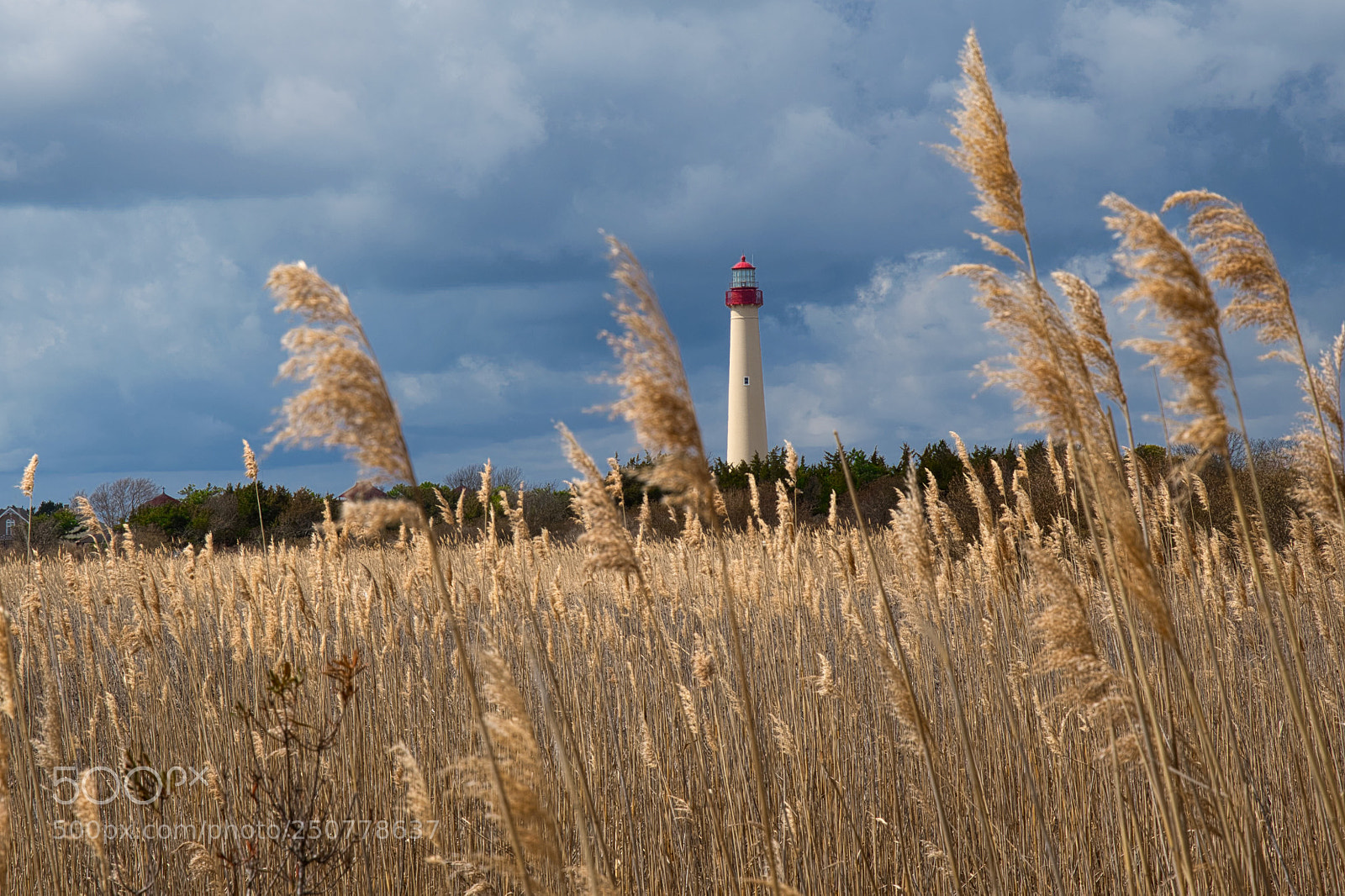 Nikon D7500 sample photo. Cape may, nj photography