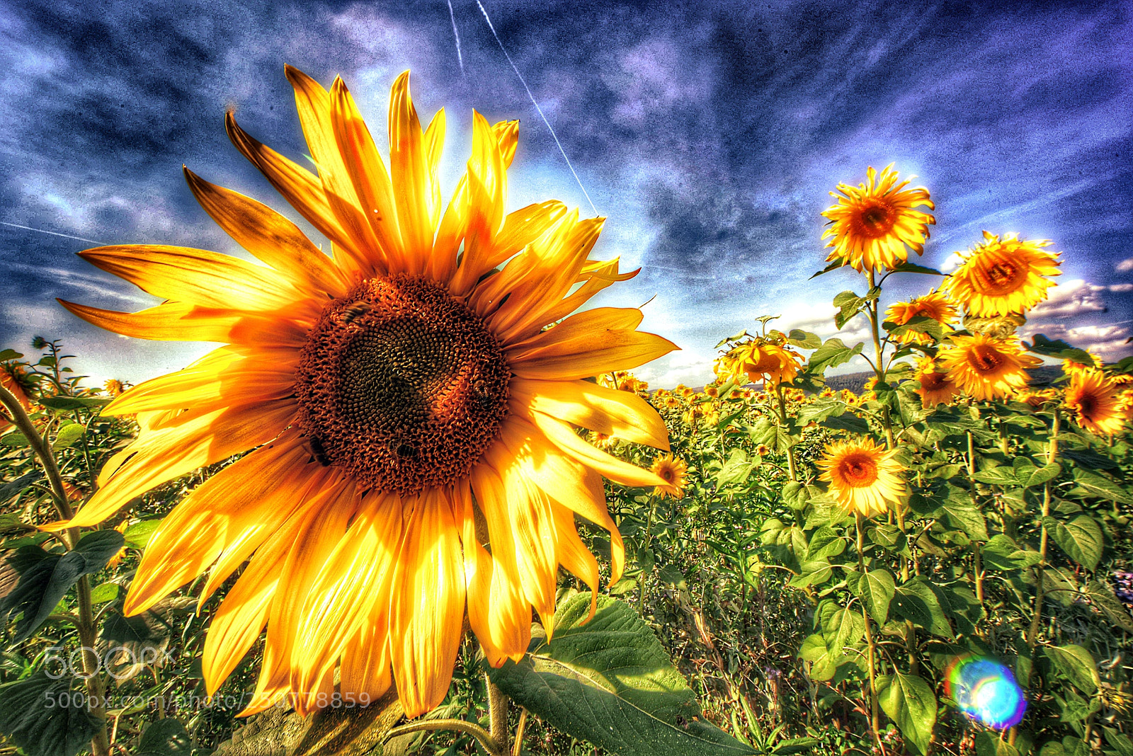 Nikon D810 sample photo. Luxembourg photography