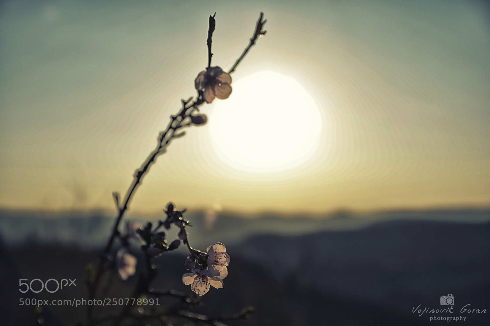 Nikon D7100 sample photo. Svirce - sunrise photography