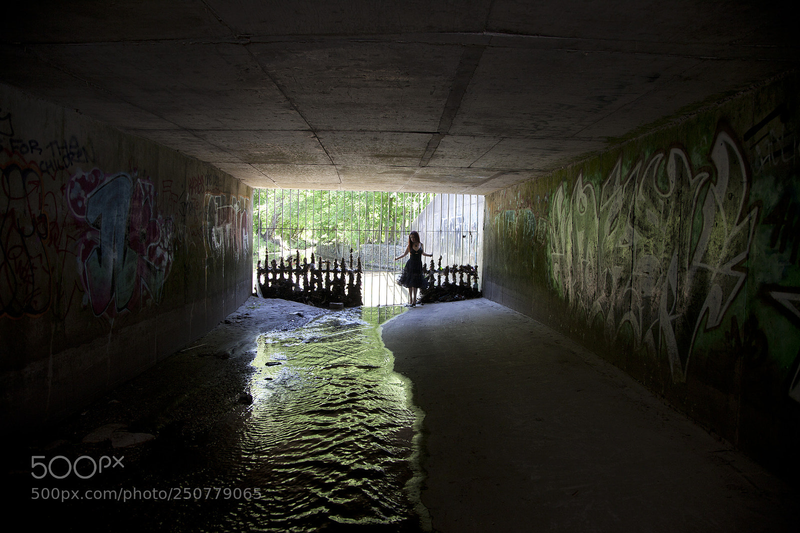 Canon EOS 5D Mark II sample photo. Untitled photography