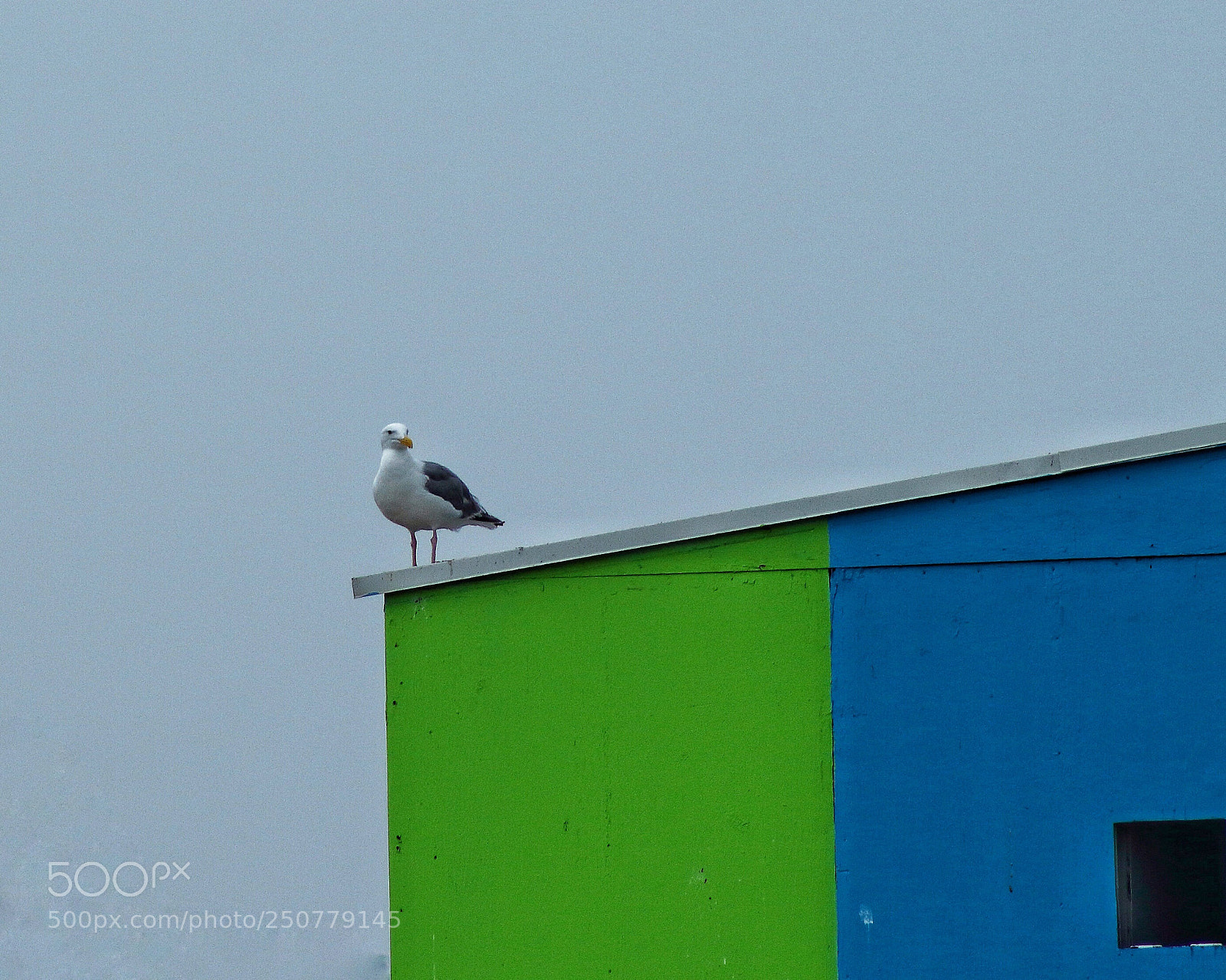 Canon EOS 700D (EOS Rebel T5i / EOS Kiss X7i) sample photo. Untitled photography