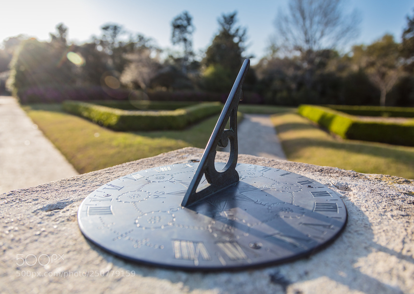 Canon EOS 5DS sample photo. Keeping an eye on photography