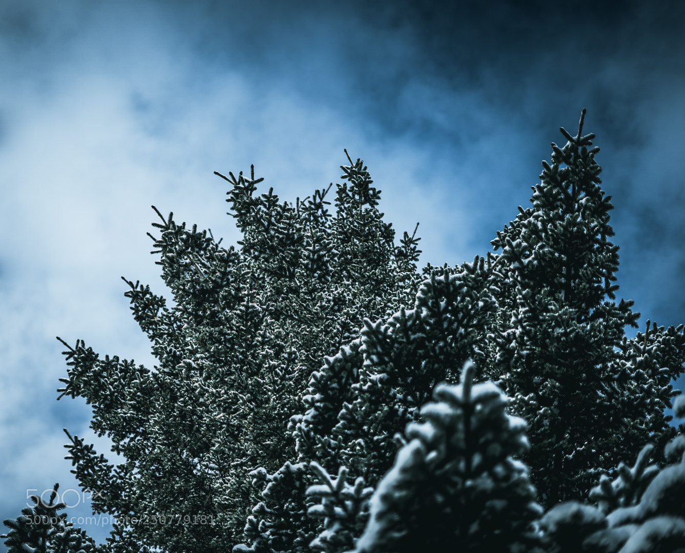 Sony a7 sample photo. Beginnings photography