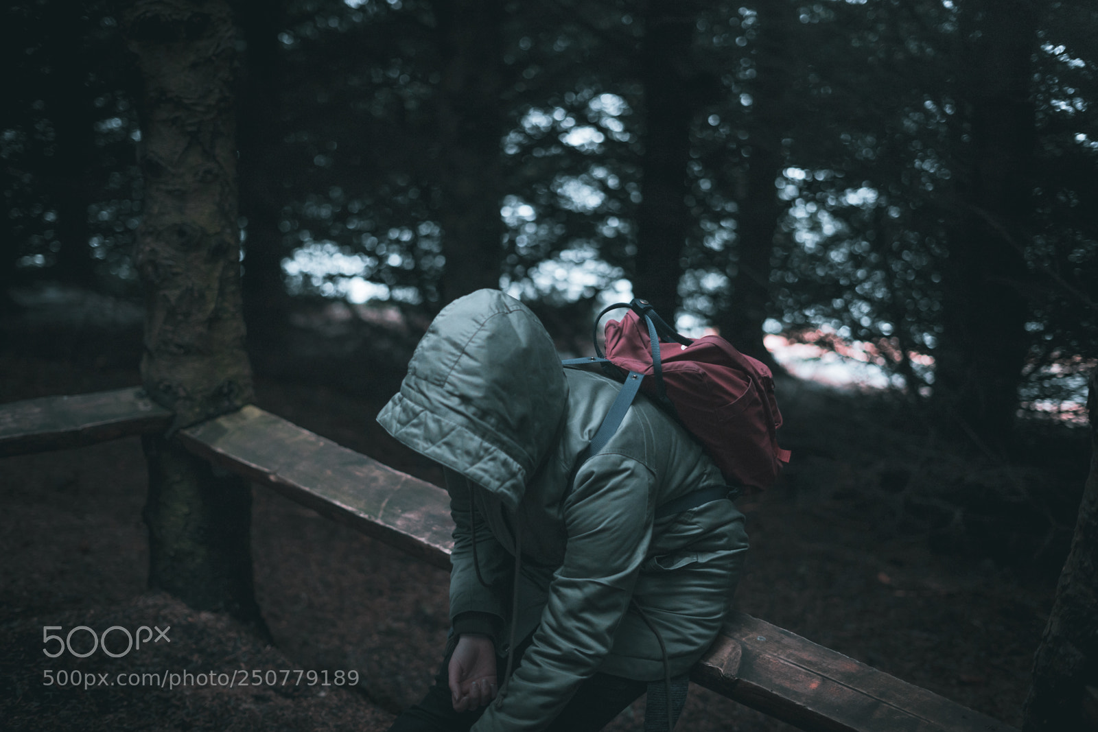 Sony a7 sample photo. A rest photography