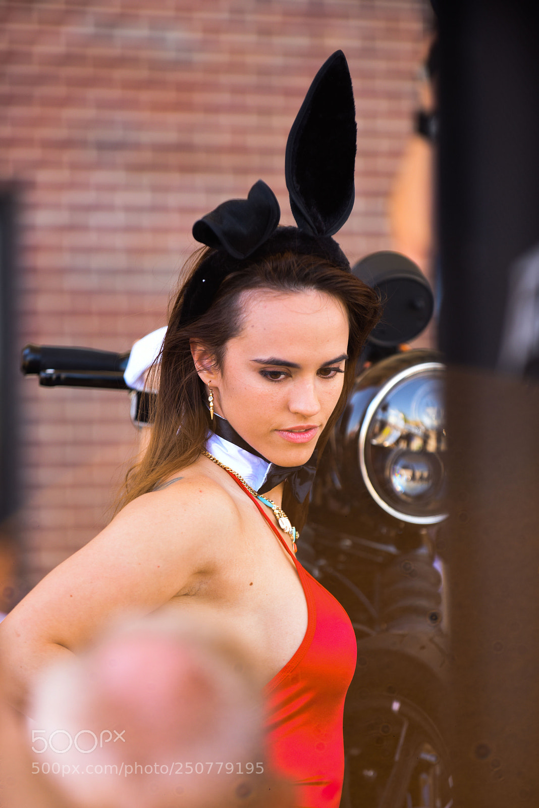 Nikon D810 sample photo. Bunny photography