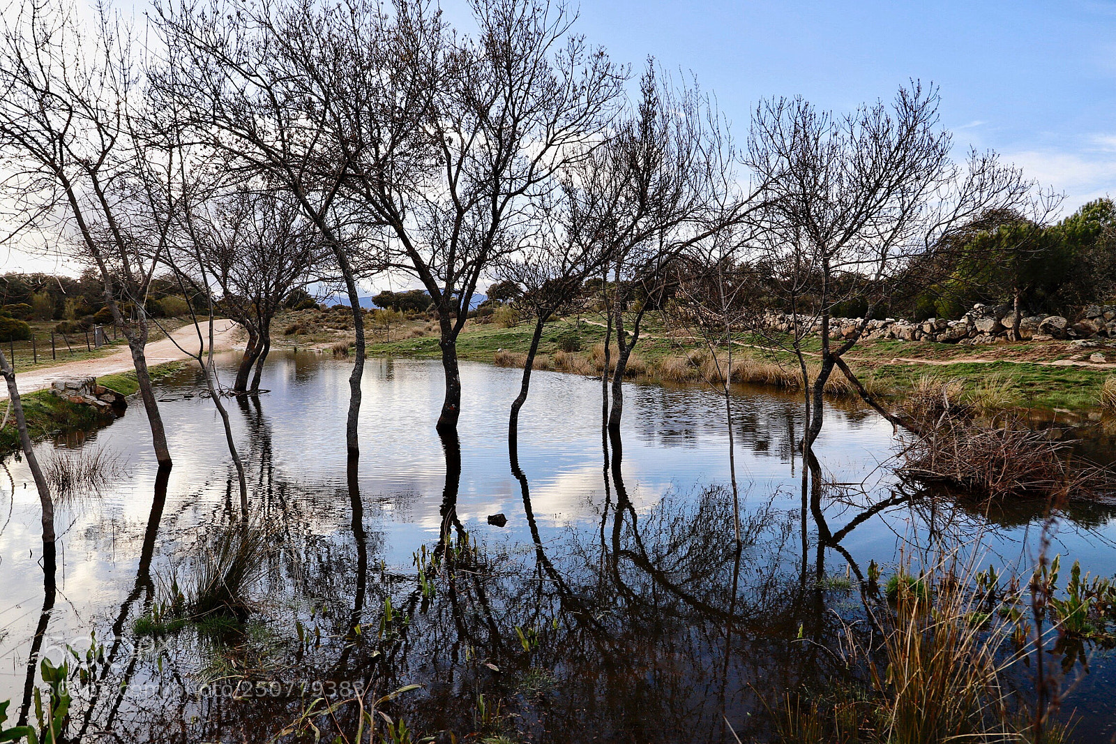Canon EOS 6D Mark II sample photo. Untitled photography