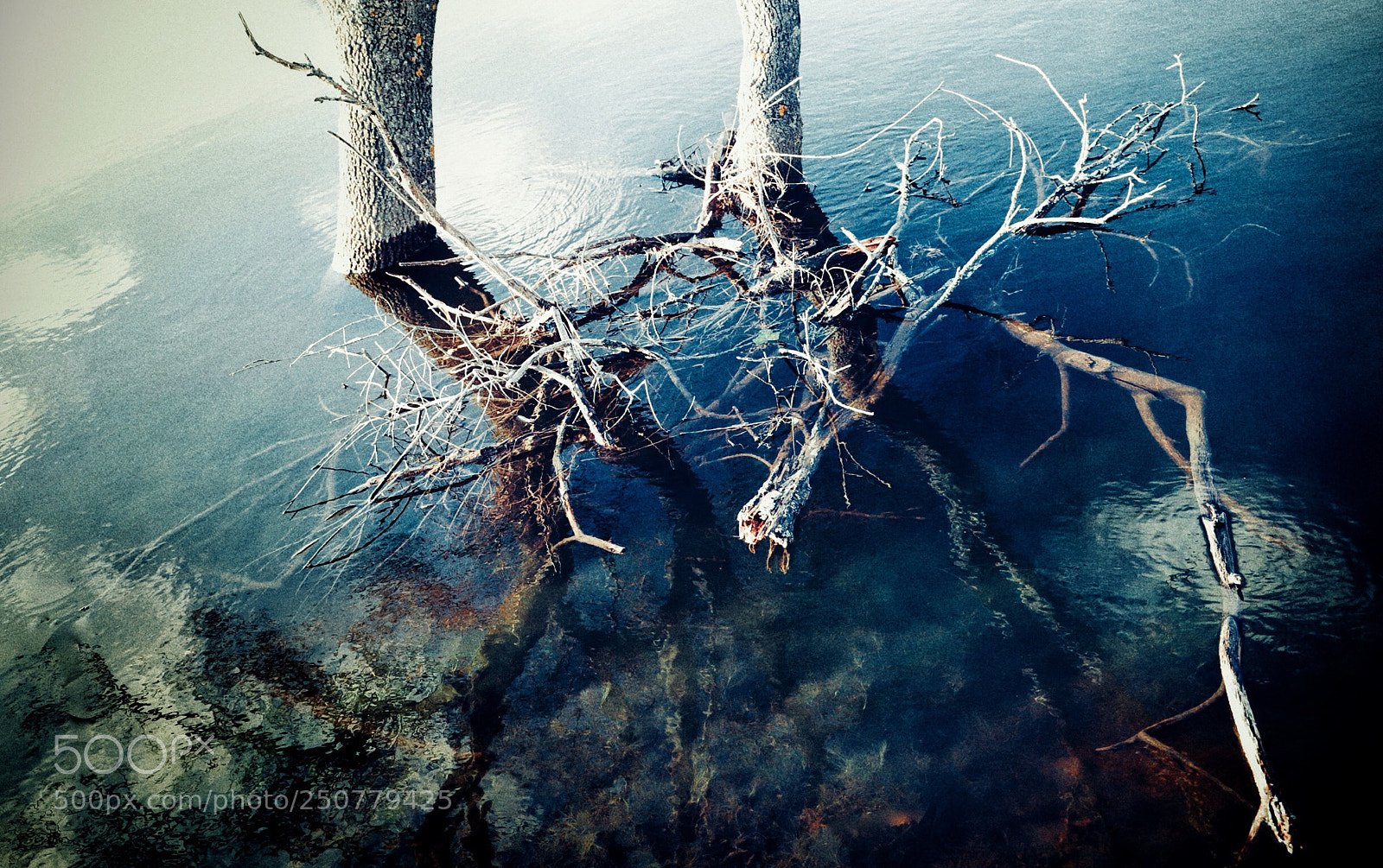 Canon EOS 6D Mark II sample photo. Untitled photography