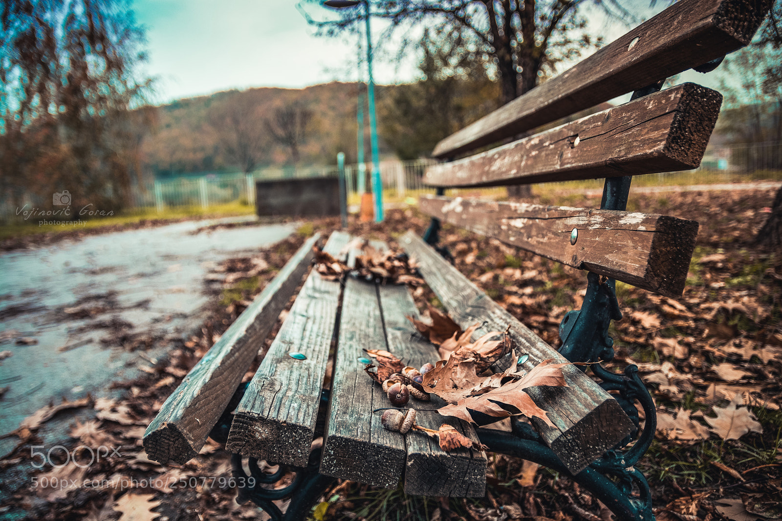 Nikon D7100 sample photo. School yard photography