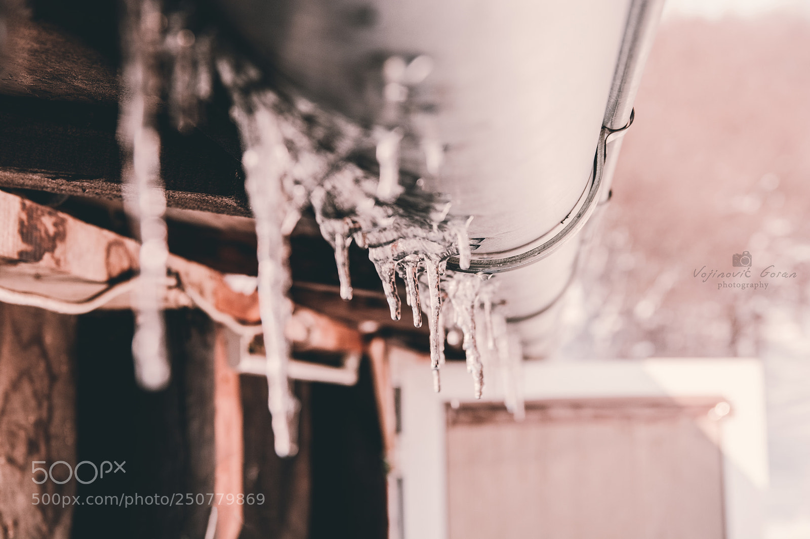 Nikon D7100 sample photo. Getting frozen photography
