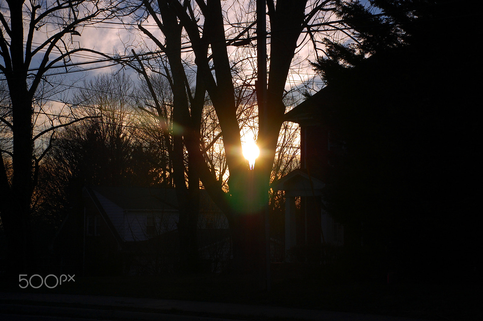 Nikon D40 sample photo. The golden orb in the tree photography