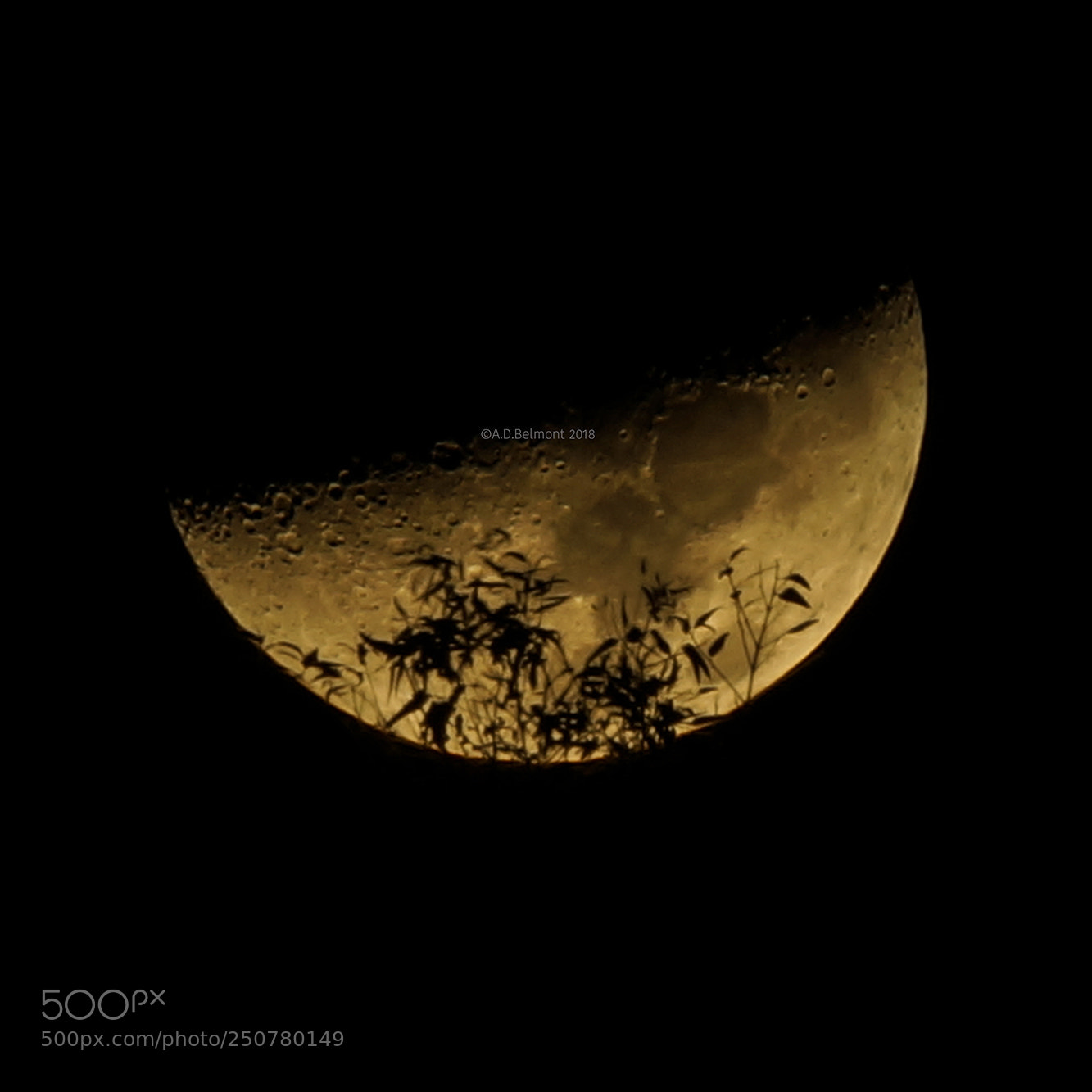 Sony SLT-A99V sample photo. Moon photography