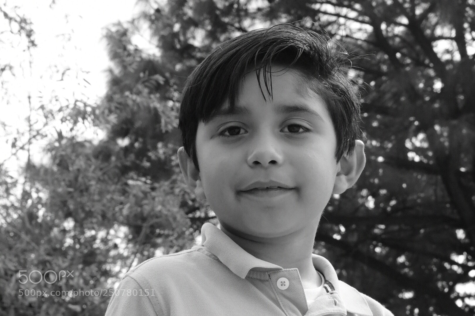 Nikon D5500 sample photo. Life photography