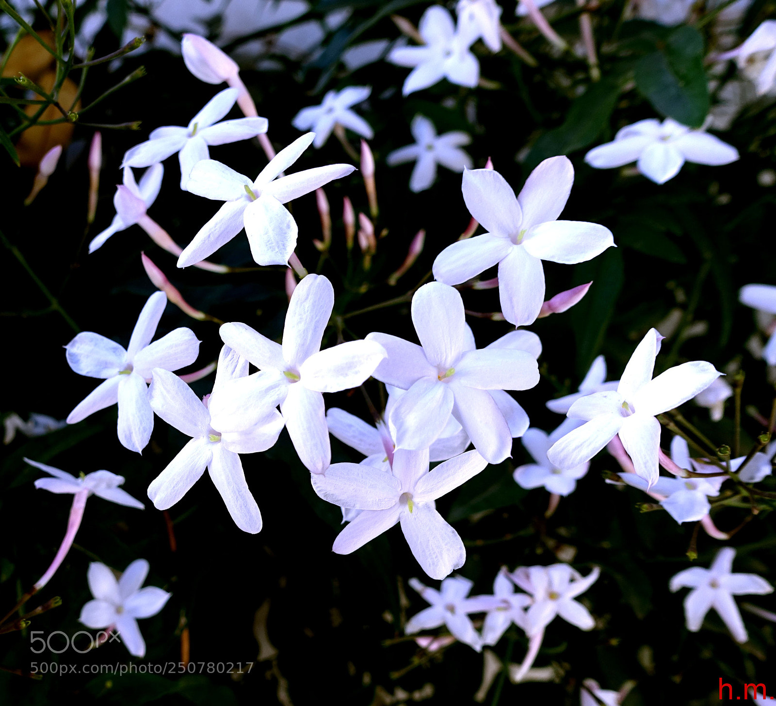 Sony Cyber-shot DSC-RX100 III sample photo. Dceo photography