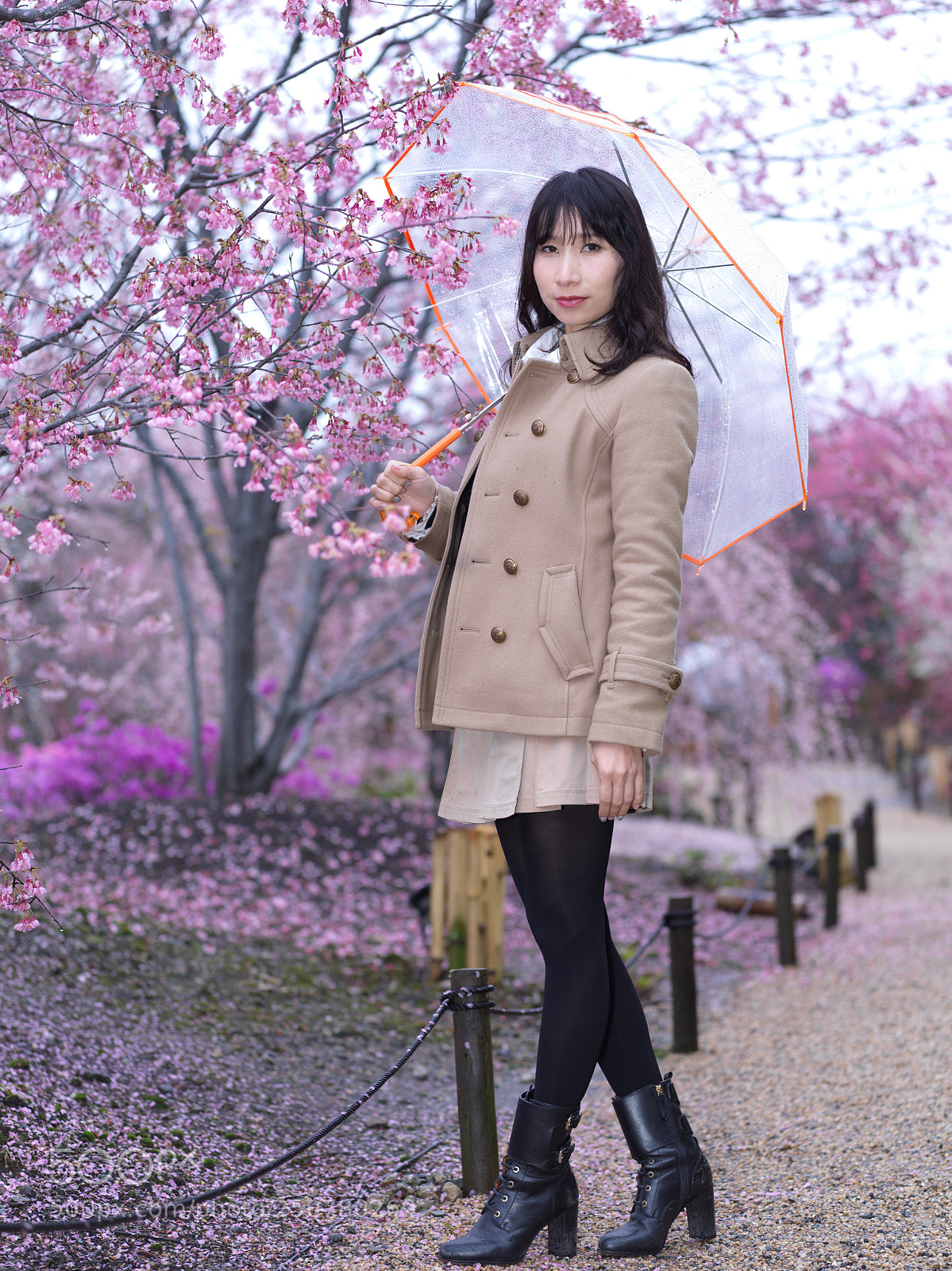 Hasselblad X1D-50c sample photo. Plum flower garden photography