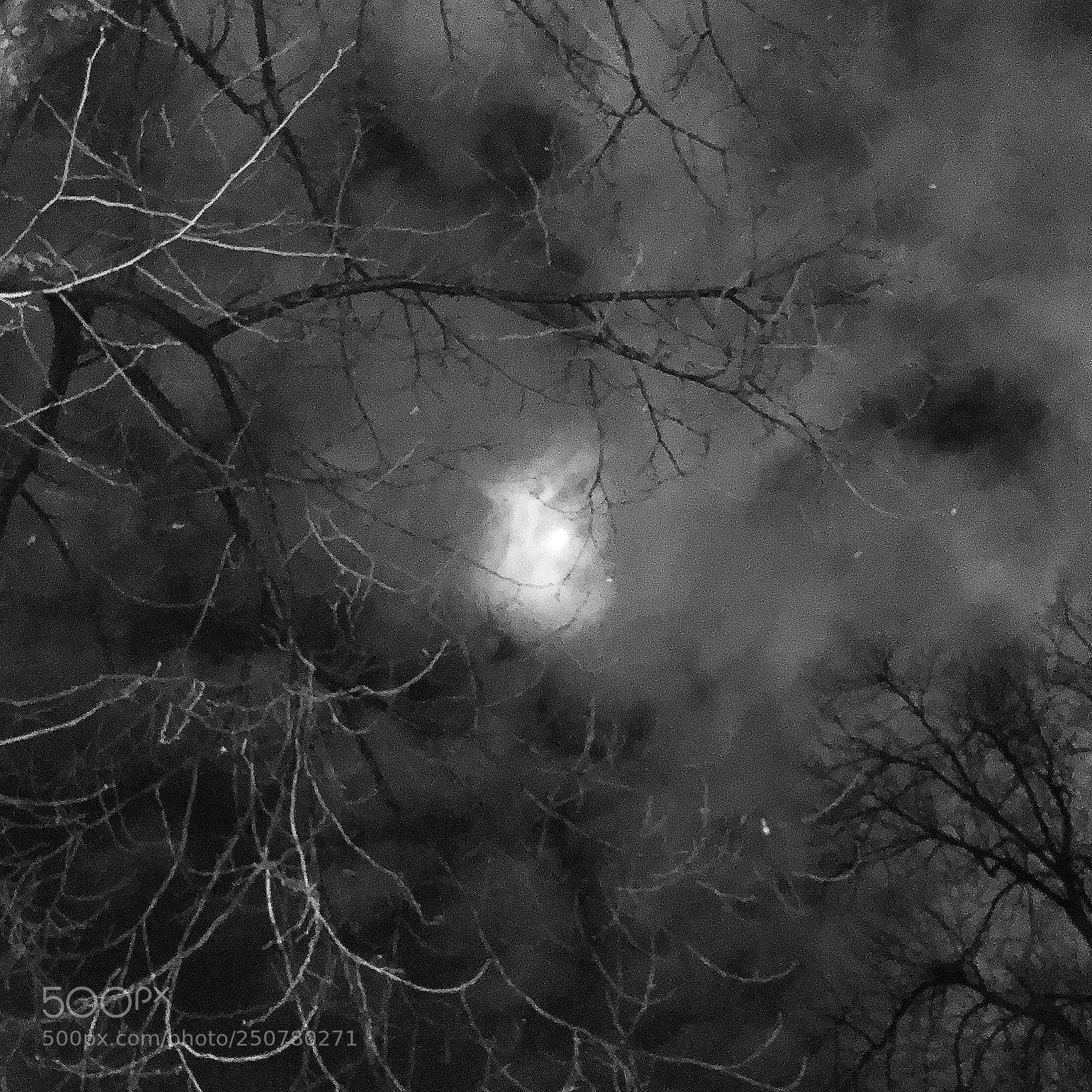 Apple iPhone X sample photo. Sisters of the moon photography