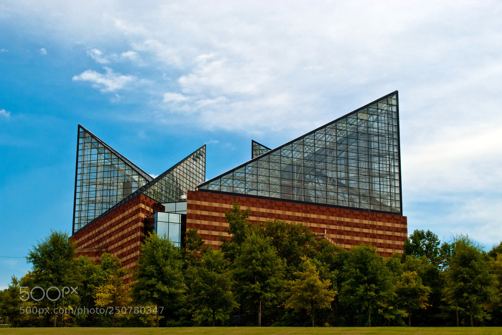 Nikon D3000 sample photo. The tennessee aquarium photography