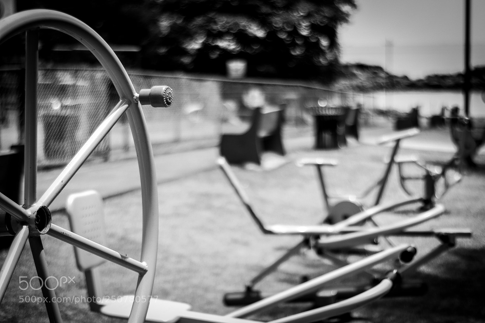 Canon EOS 77D (EOS 9000D / EOS 770D) sample photo. Untitled photography