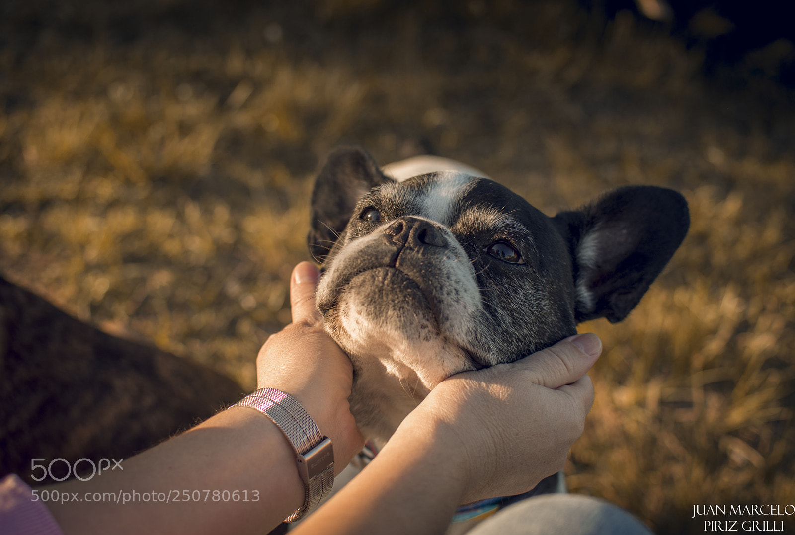 Nikon D7100 sample photo. Smile!!! photography