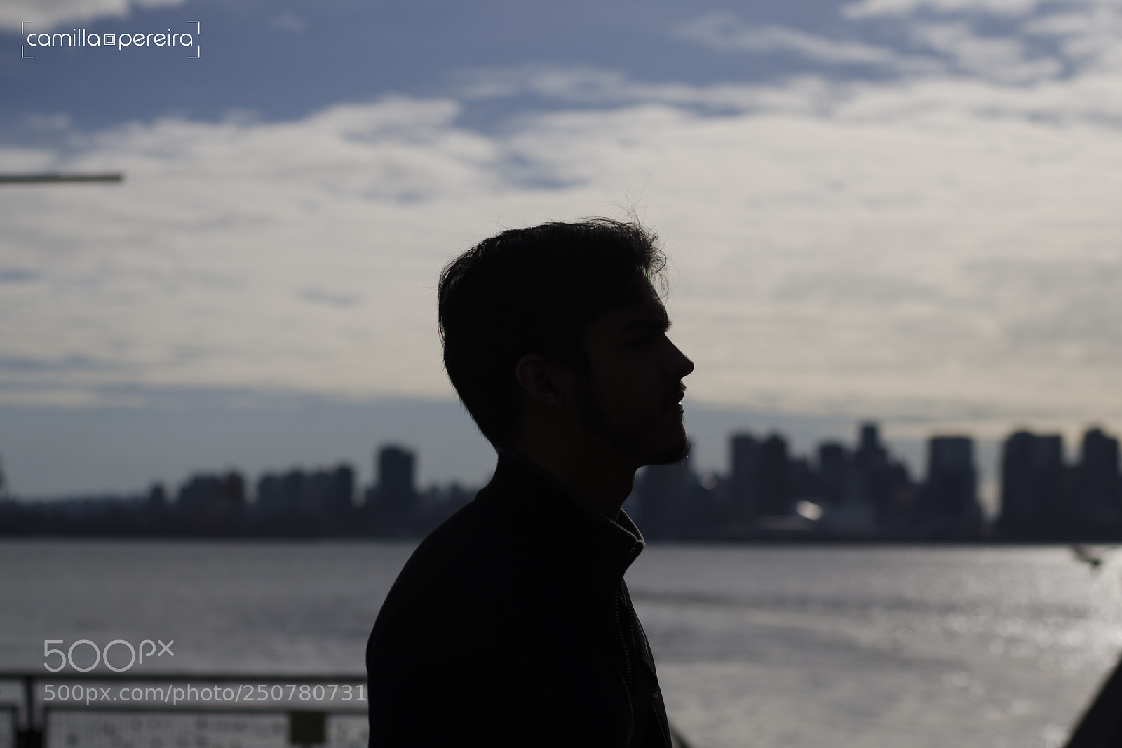 Nikon D7000 sample photo. Silhouette photography