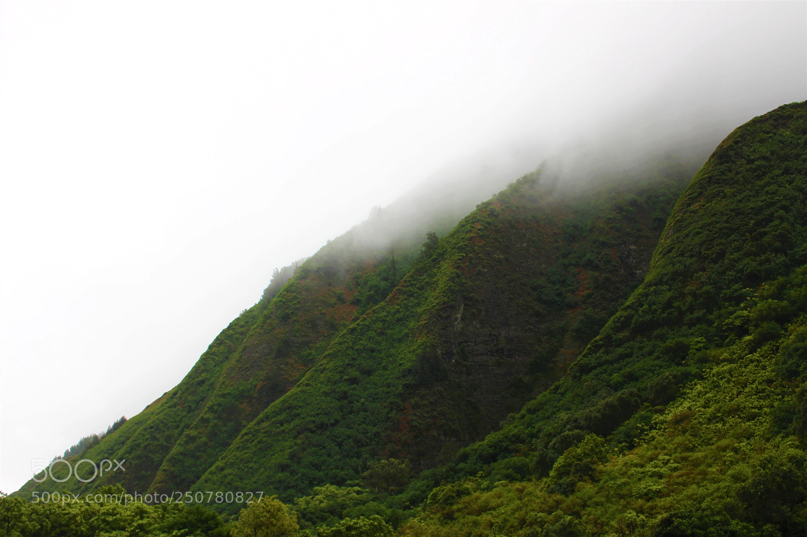 Canon EOS 700D (EOS Rebel T5i / EOS Kiss X7i) sample photo. As the fog rolls photography
