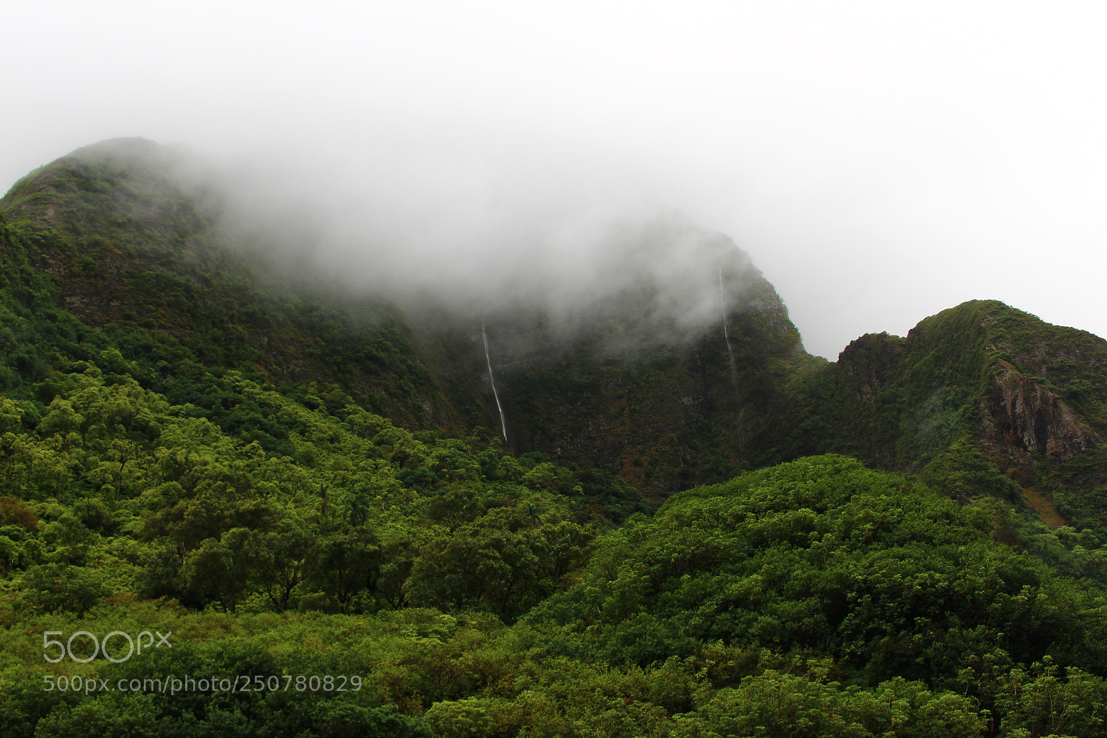 Canon EOS 700D (EOS Rebel T5i / EOS Kiss X7i) sample photo. As the fog rolls photography