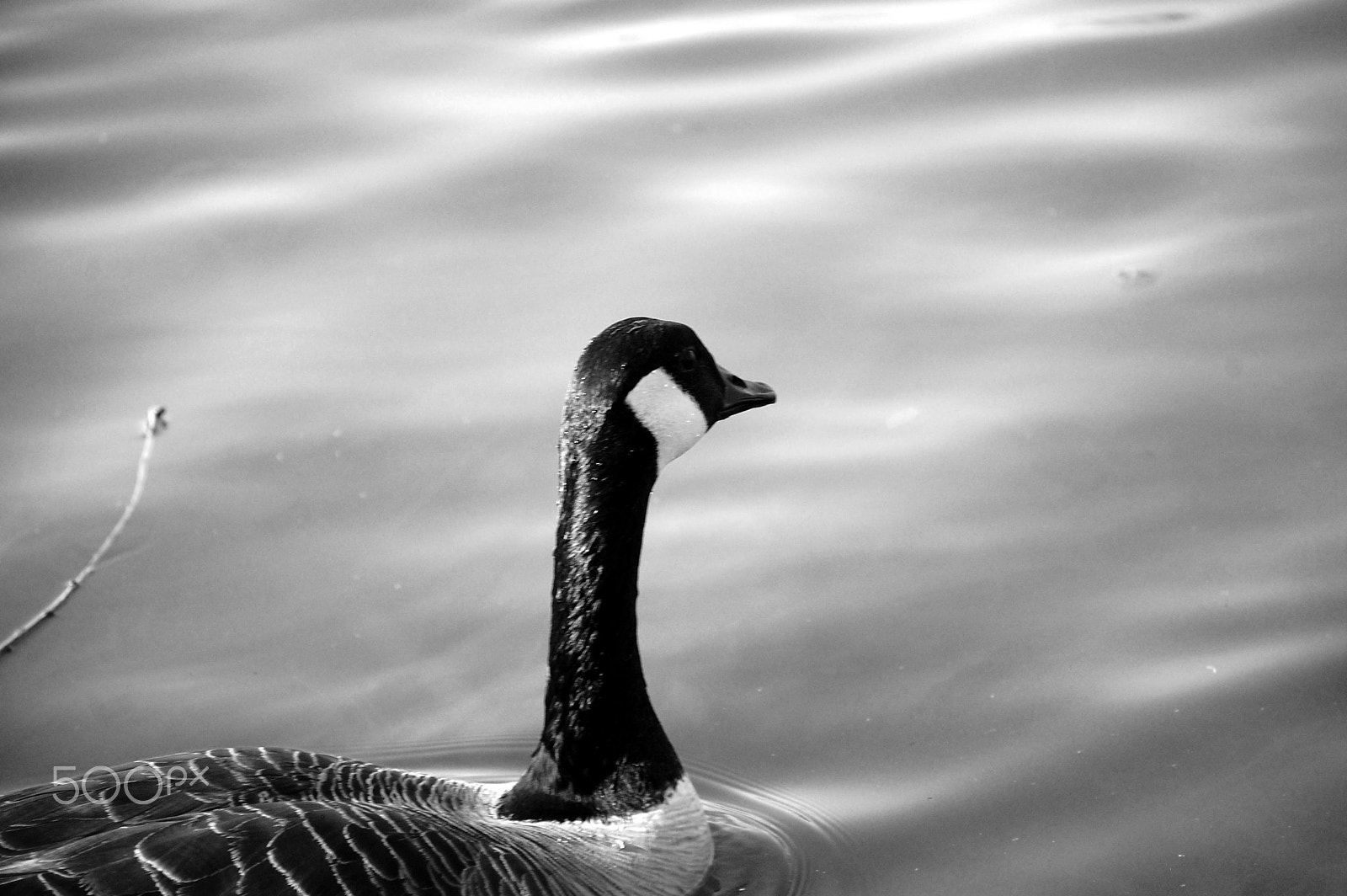Nikon D40 sample photo. What lies ahead photography