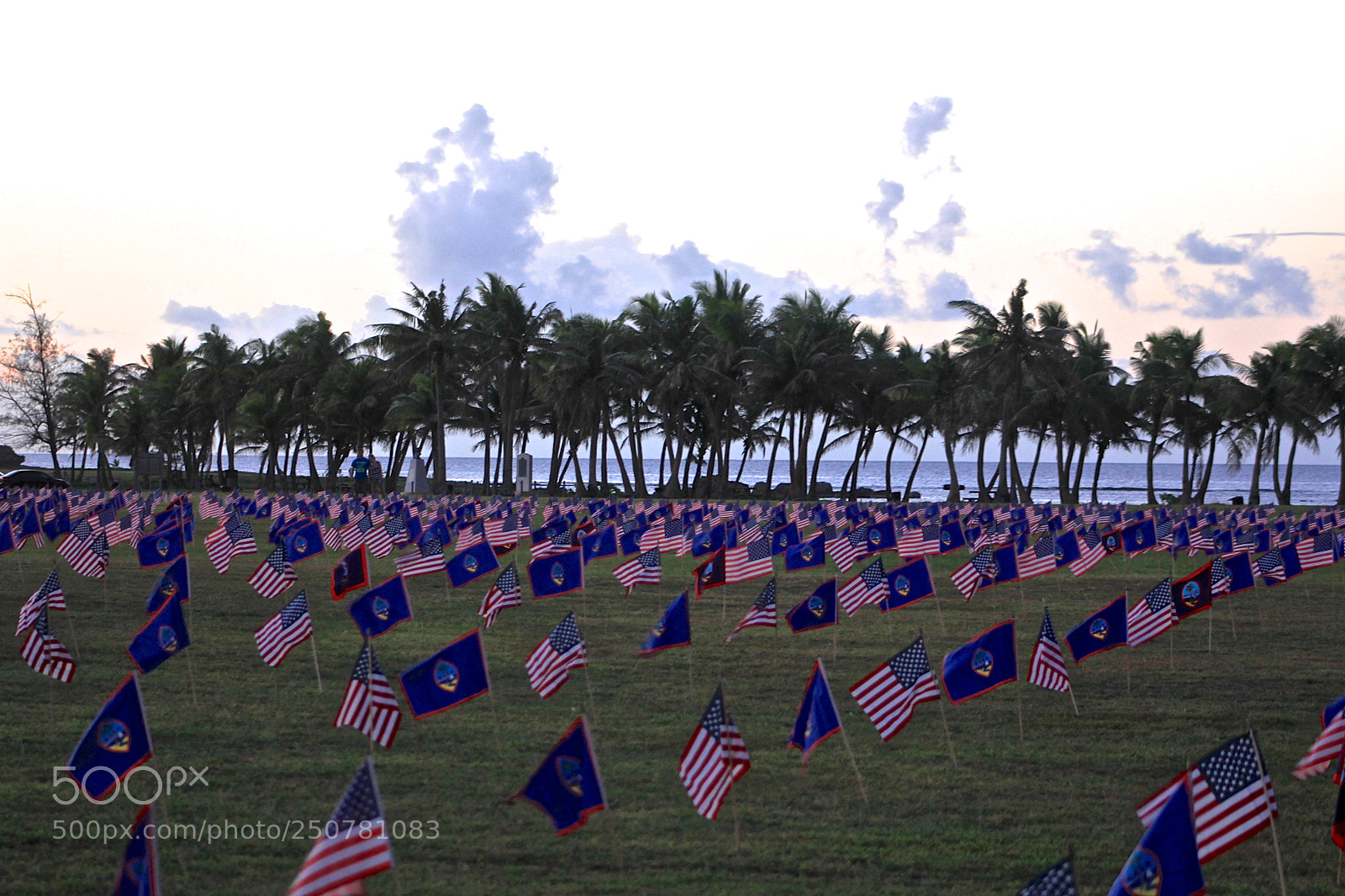 Canon EOS 60D sample photo. Memorial day usa on photography