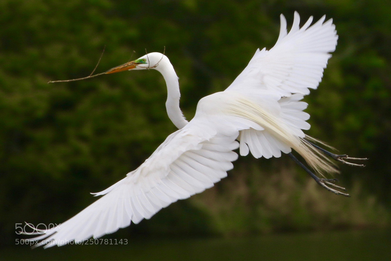 Canon EOS 70D sample photo. Img photography