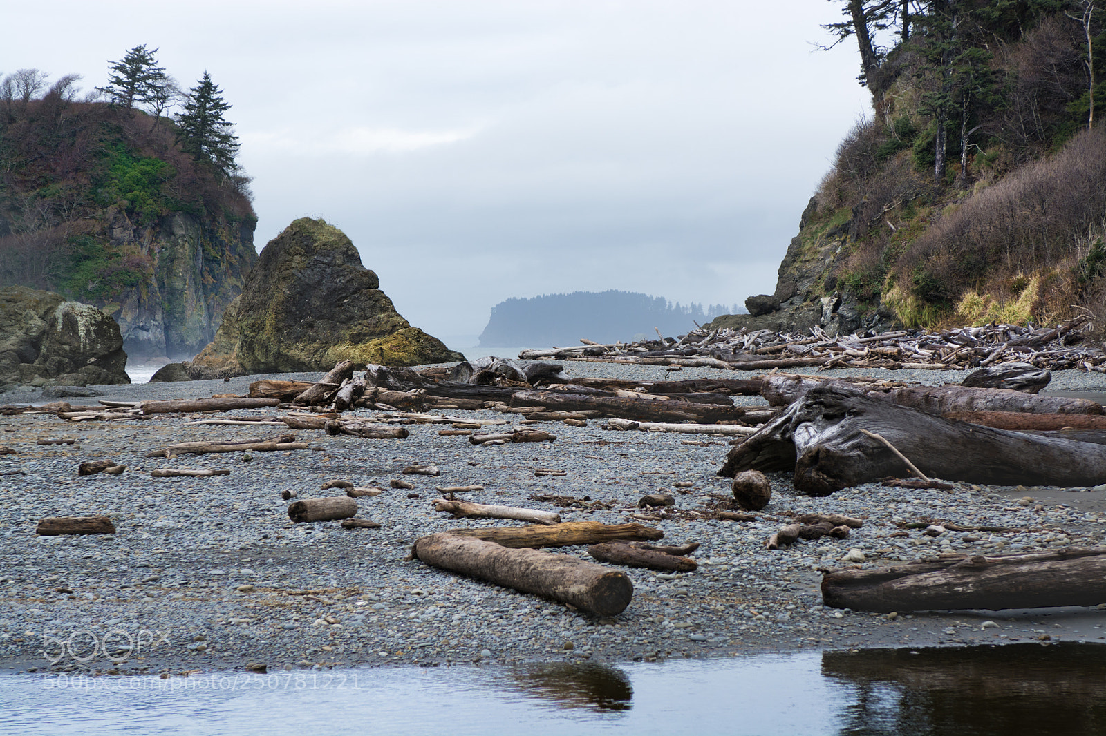 Nikon D7100 sample photo. Between fresh water and photography