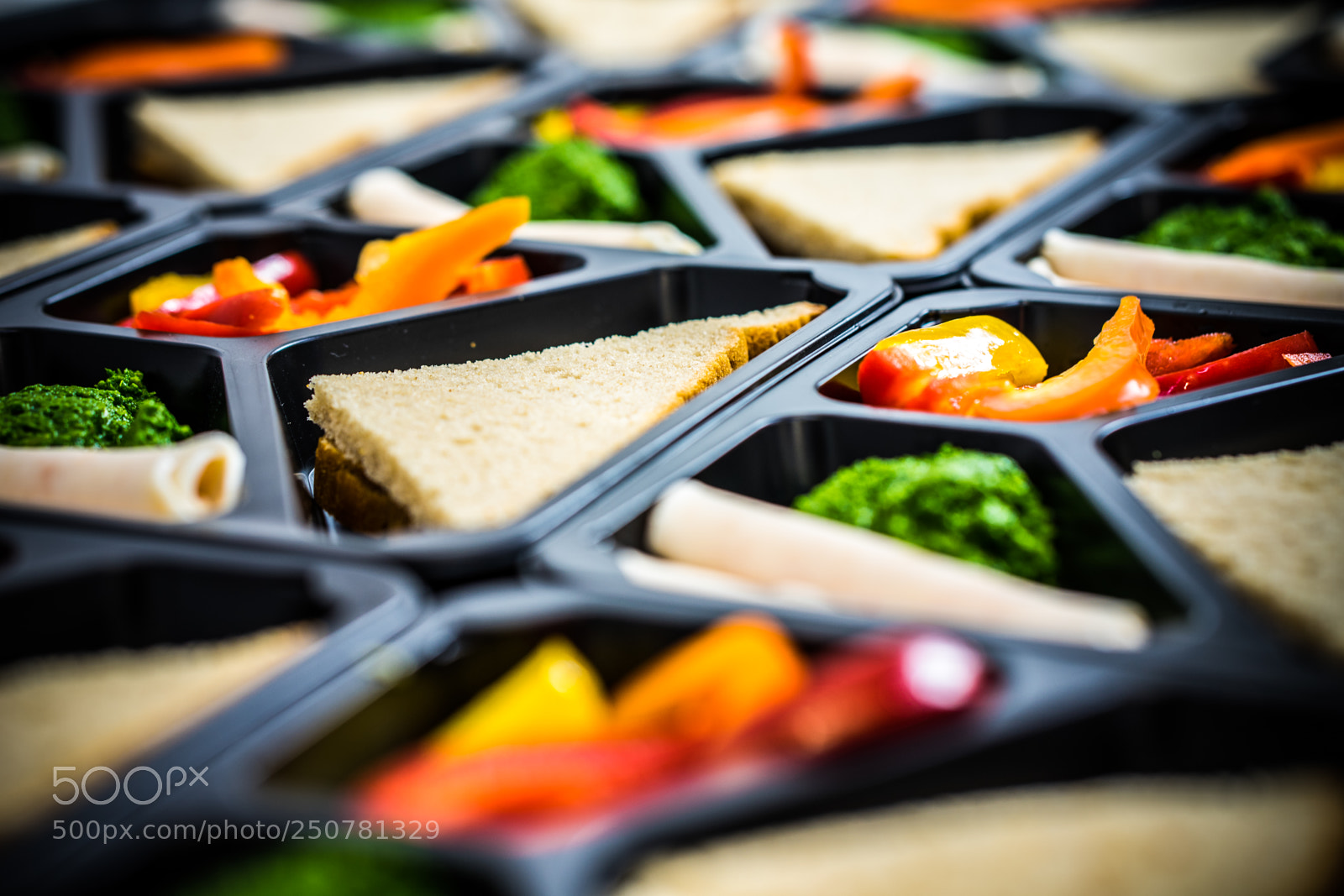 Sony a7 II sample photo. Dsc photography
