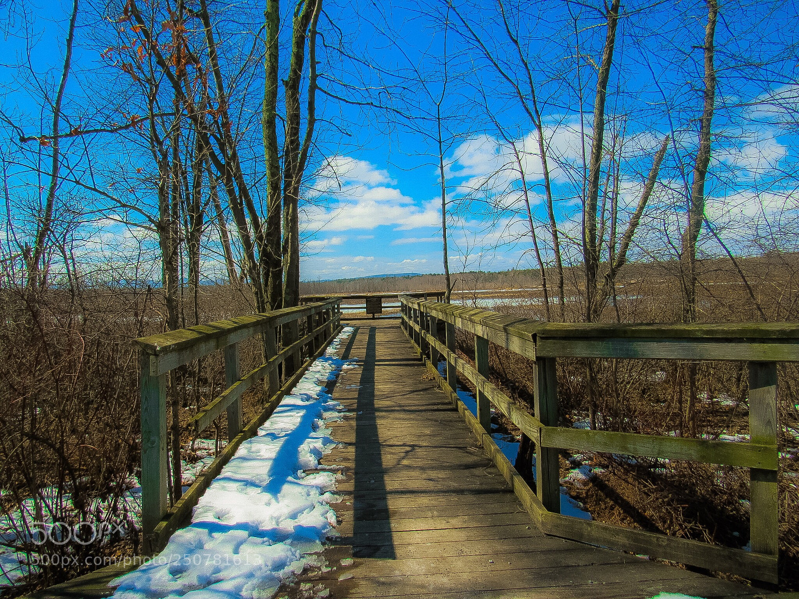 Canon PowerShot SX530 HS sample photo. Ausable wildlife observatory  photography