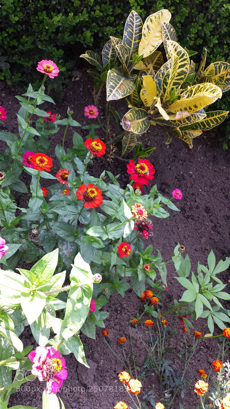 Samsung Galaxy S4 sample photo. Untitled photography