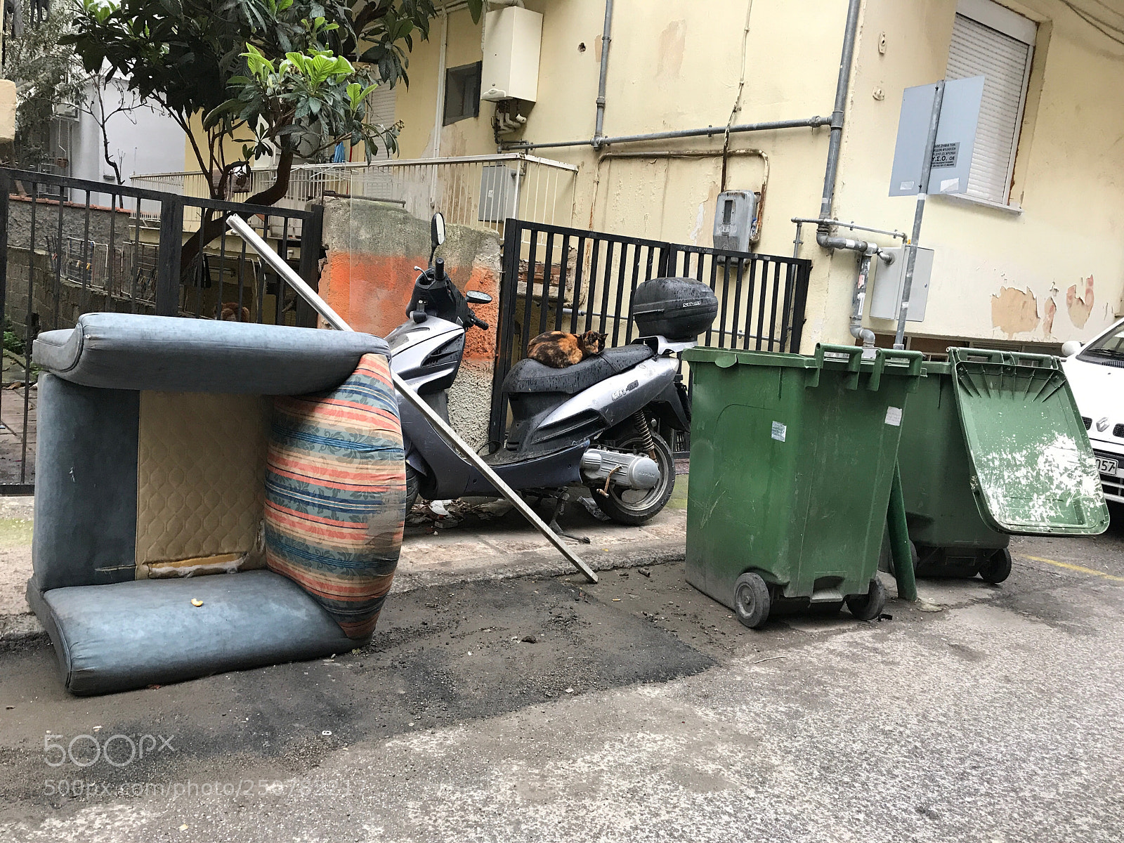 Apple iPhone 7 sample photo. Find the... photography