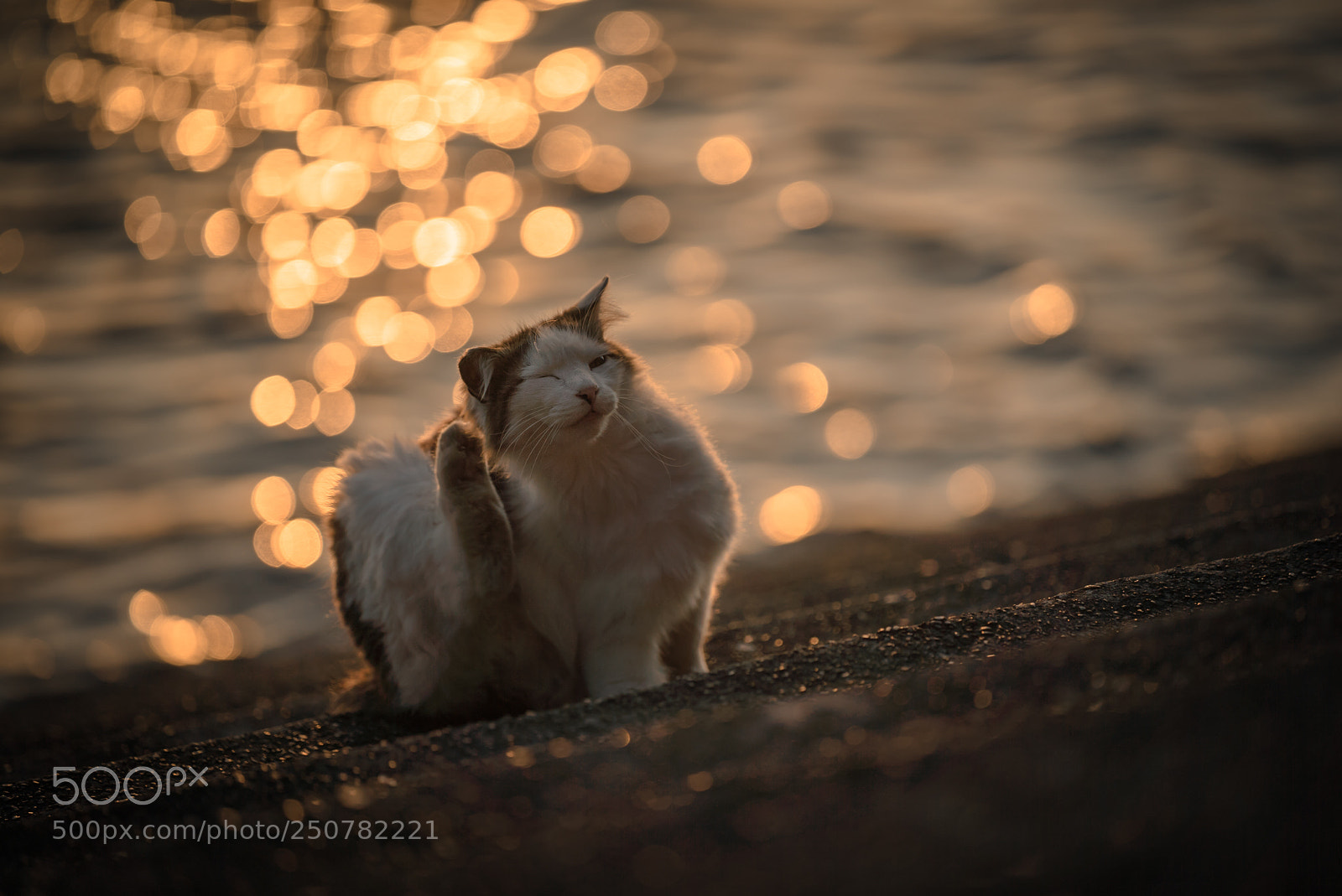 Sony a7S II sample photo. Before sunset photography