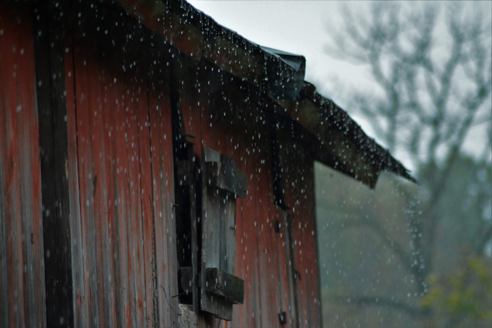Nikon AF Nikkor 70-300mm F4-5.6G sample photo. Rain off the roof photography