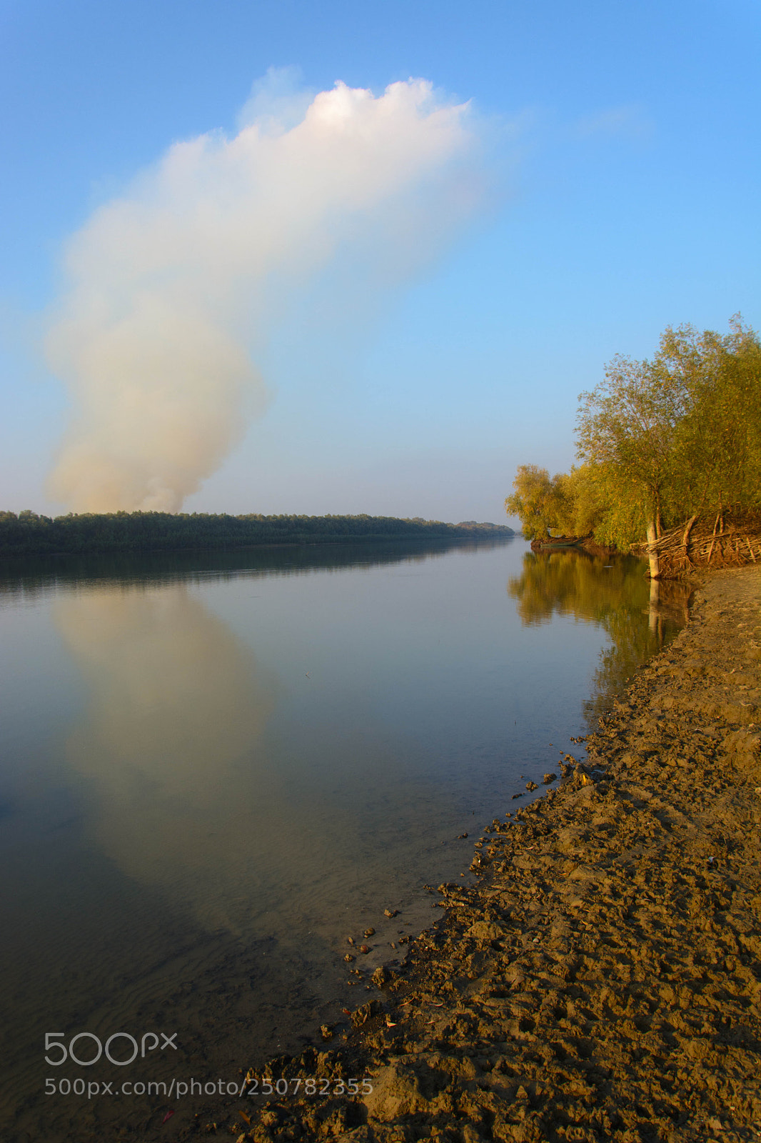 Nikon D5200 sample photo. Plume photography