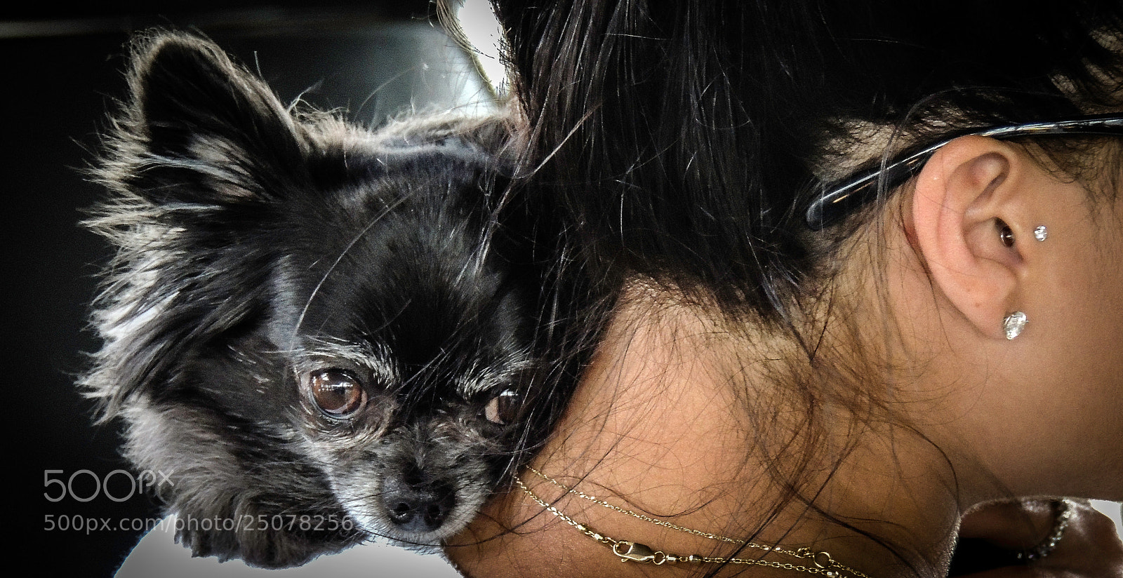 Nikon Coolpix P510 sample photo. Neck cuddle. photography