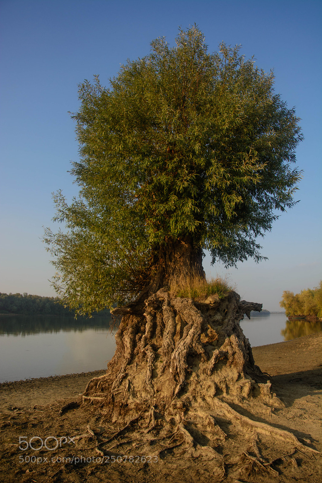 Nikon D5200 sample photo. Wash away photography