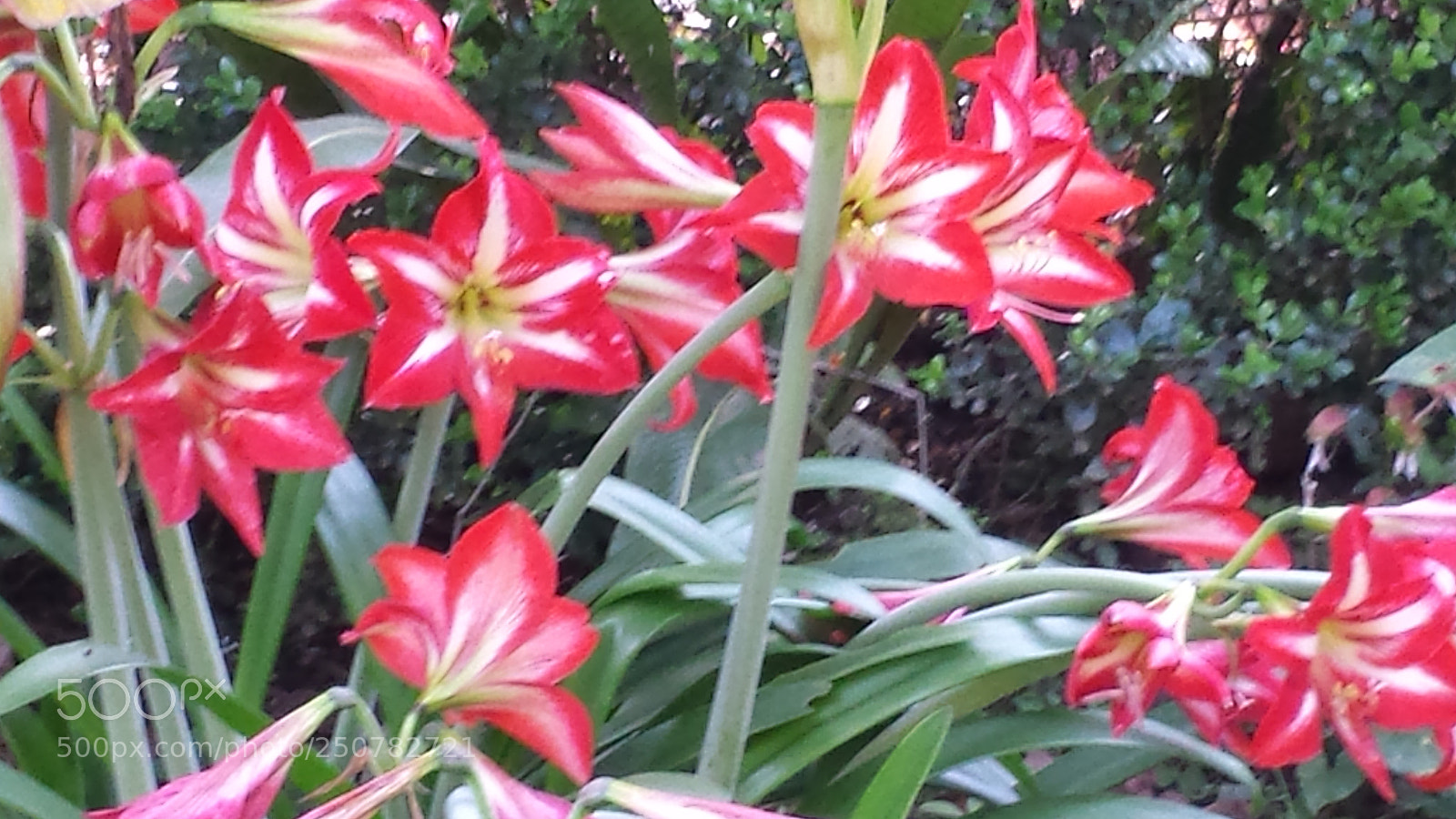 Samsung Galaxy S4 sample photo. Untitled photography