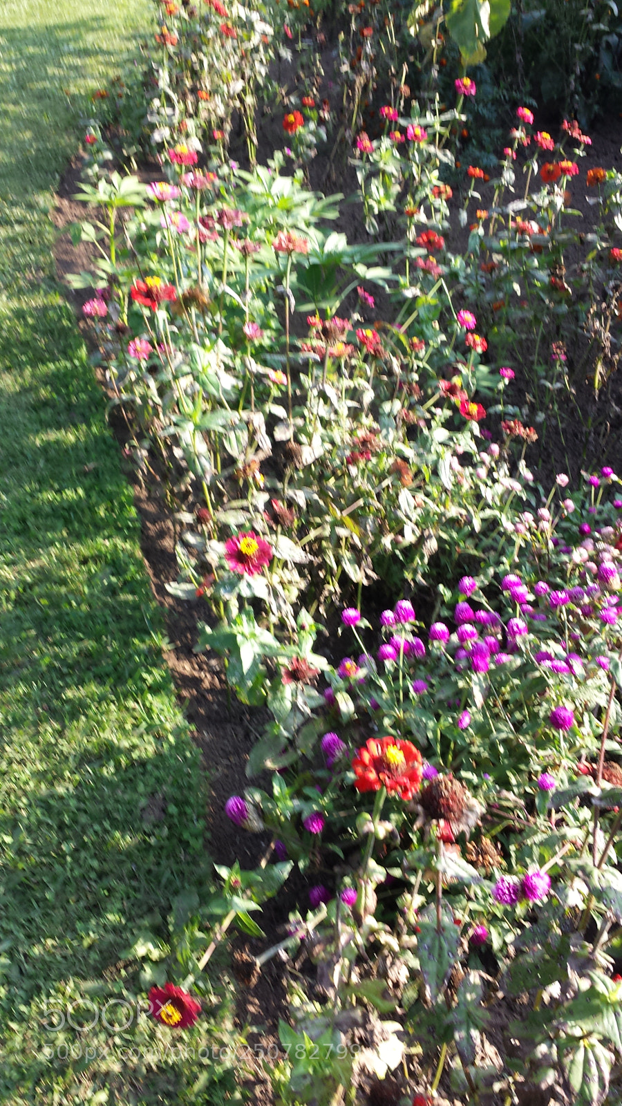 Samsung Galaxy S4 sample photo. Untitled photography
