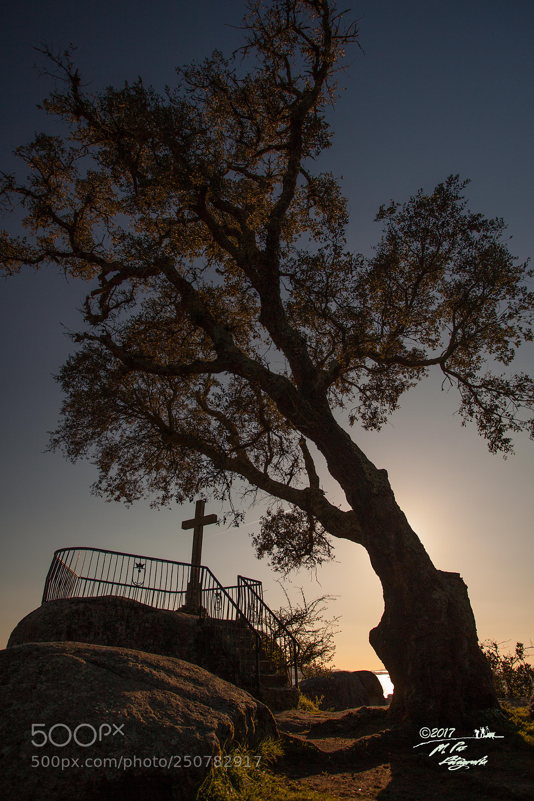 Canon EOS 5D Mark II sample photo. Shadows photography