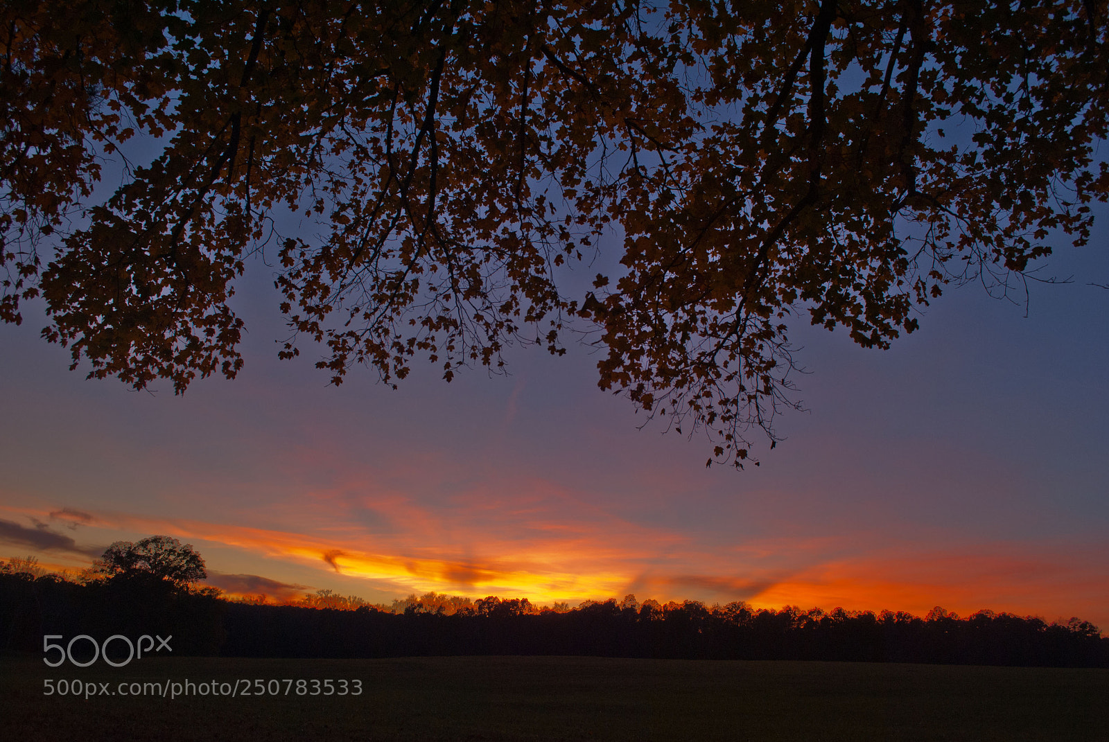 Nikon D3000 sample photo. Fall sunset photography