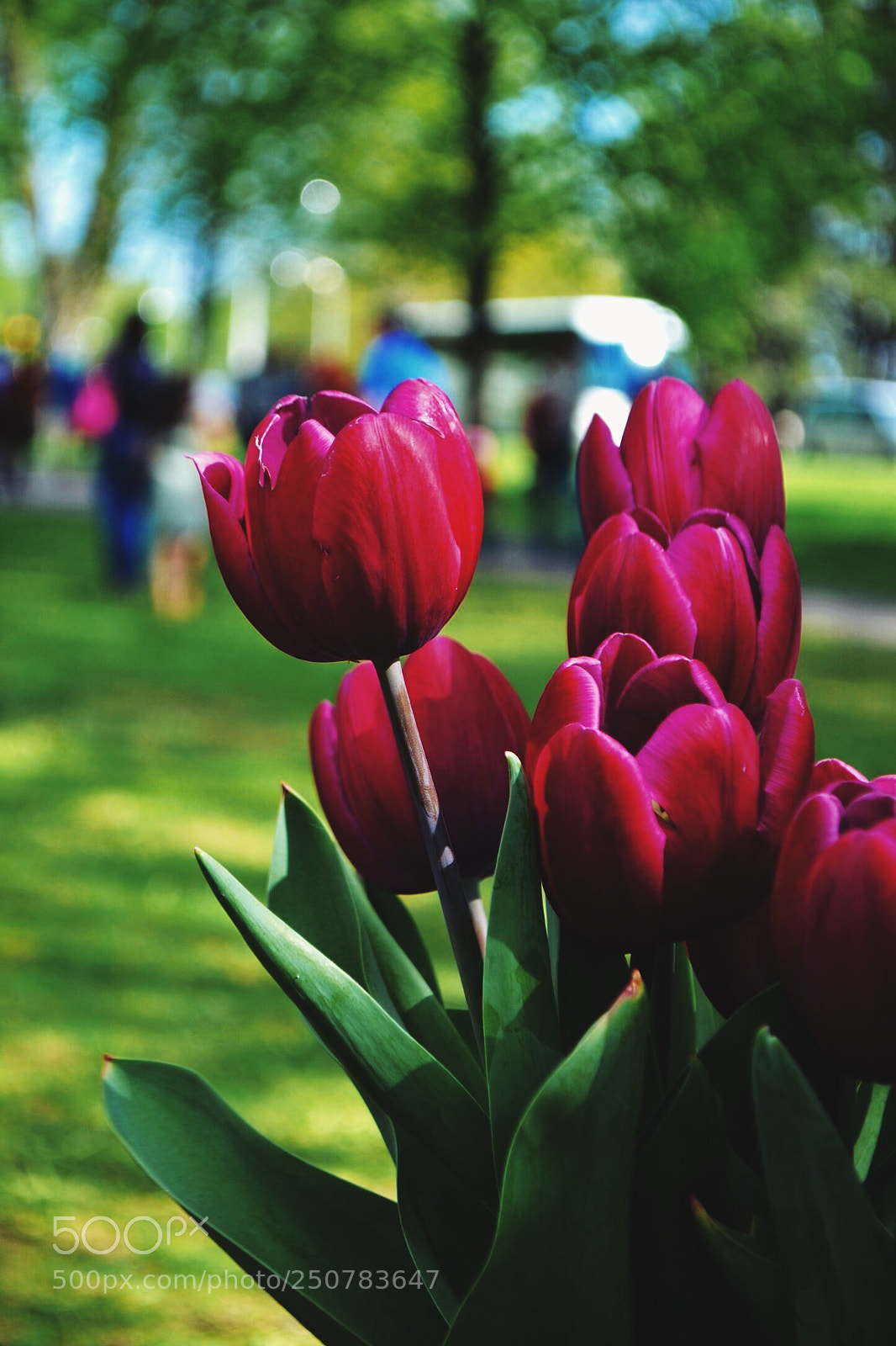 Nikon D3100 sample photo. Untitled photography