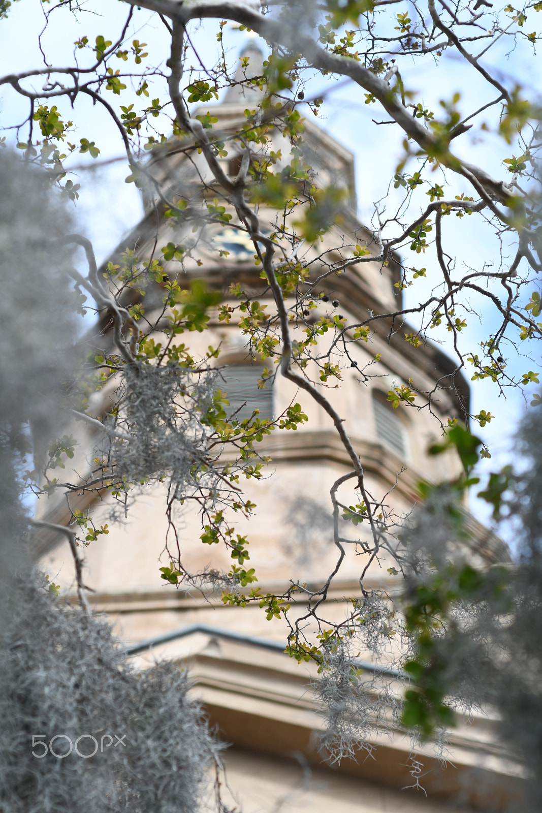 Nikon AF Nikkor 50mm F1.8D sample photo. Through the trees photography